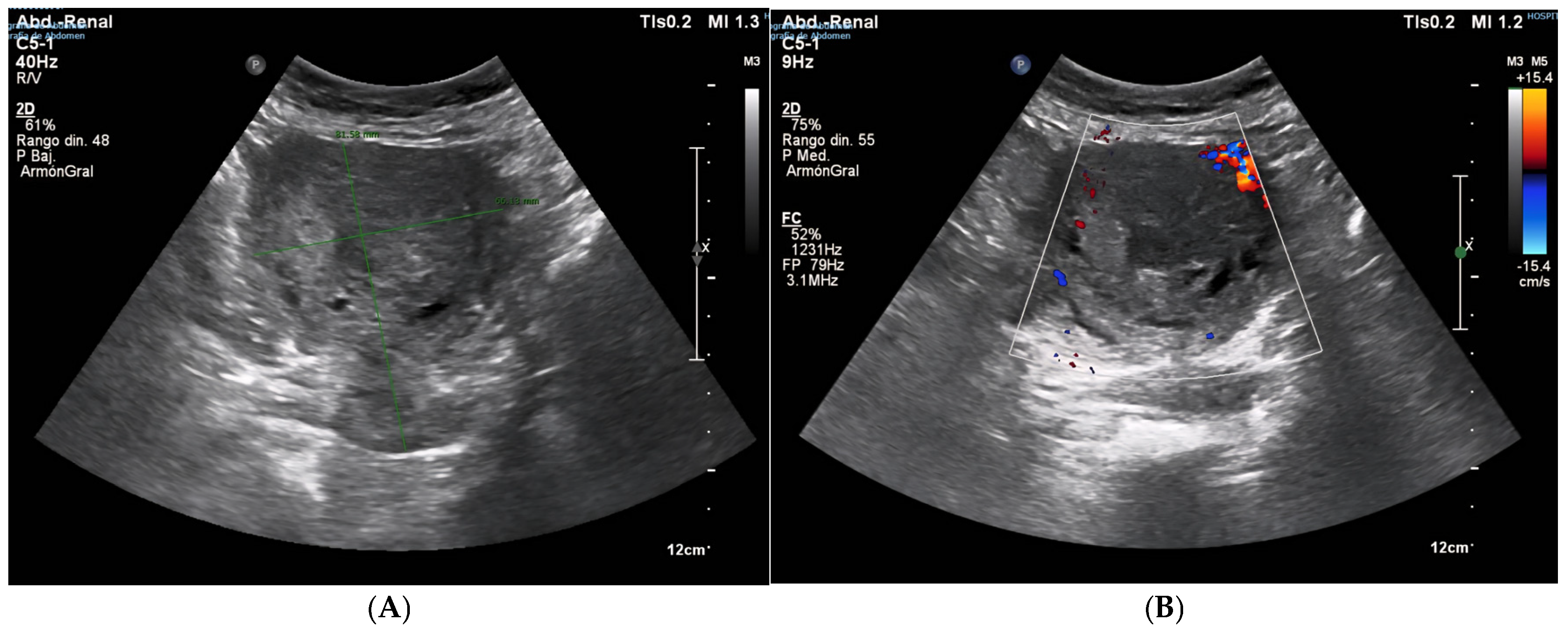 Diagnostics 15 02164 g003