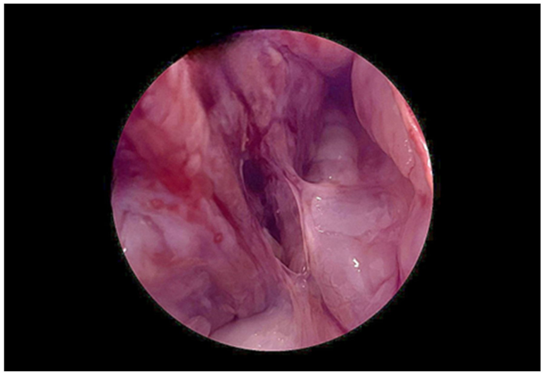 Diagnostics 15 02164 g006