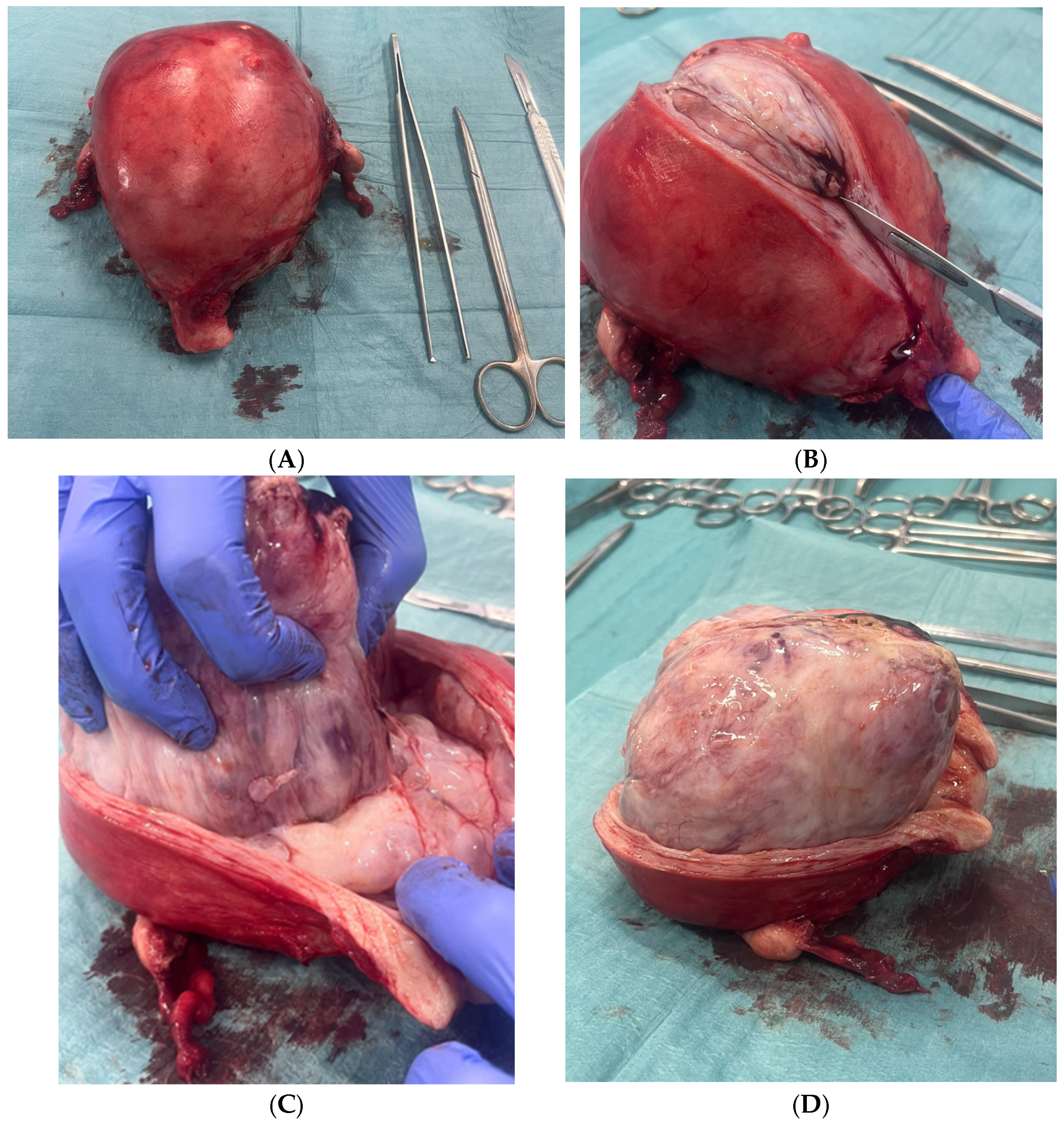 Diagnostics 15 02164 g008