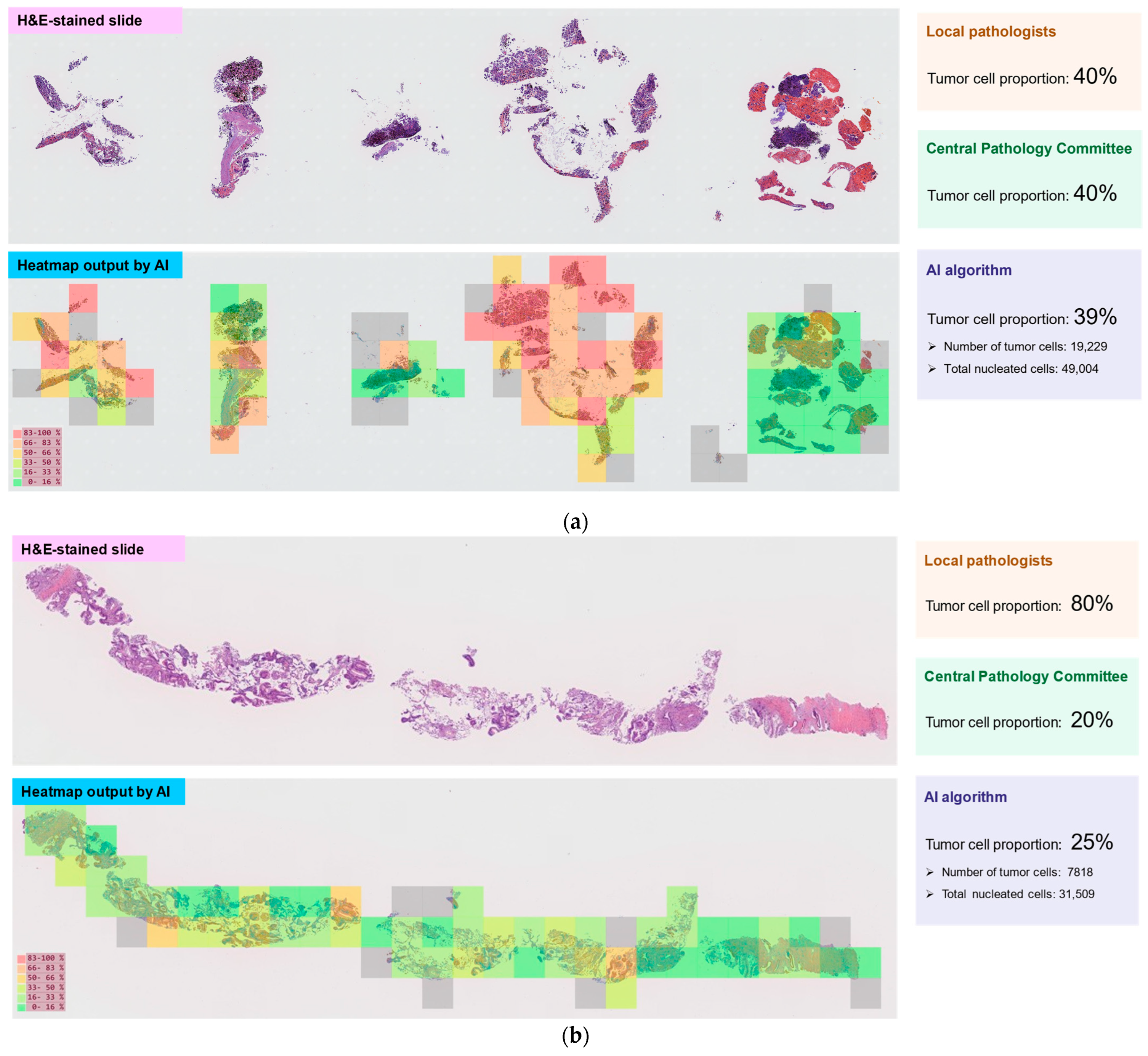 Diagnostics 15 02165 g002a Diagnostics 15 02165 g002a