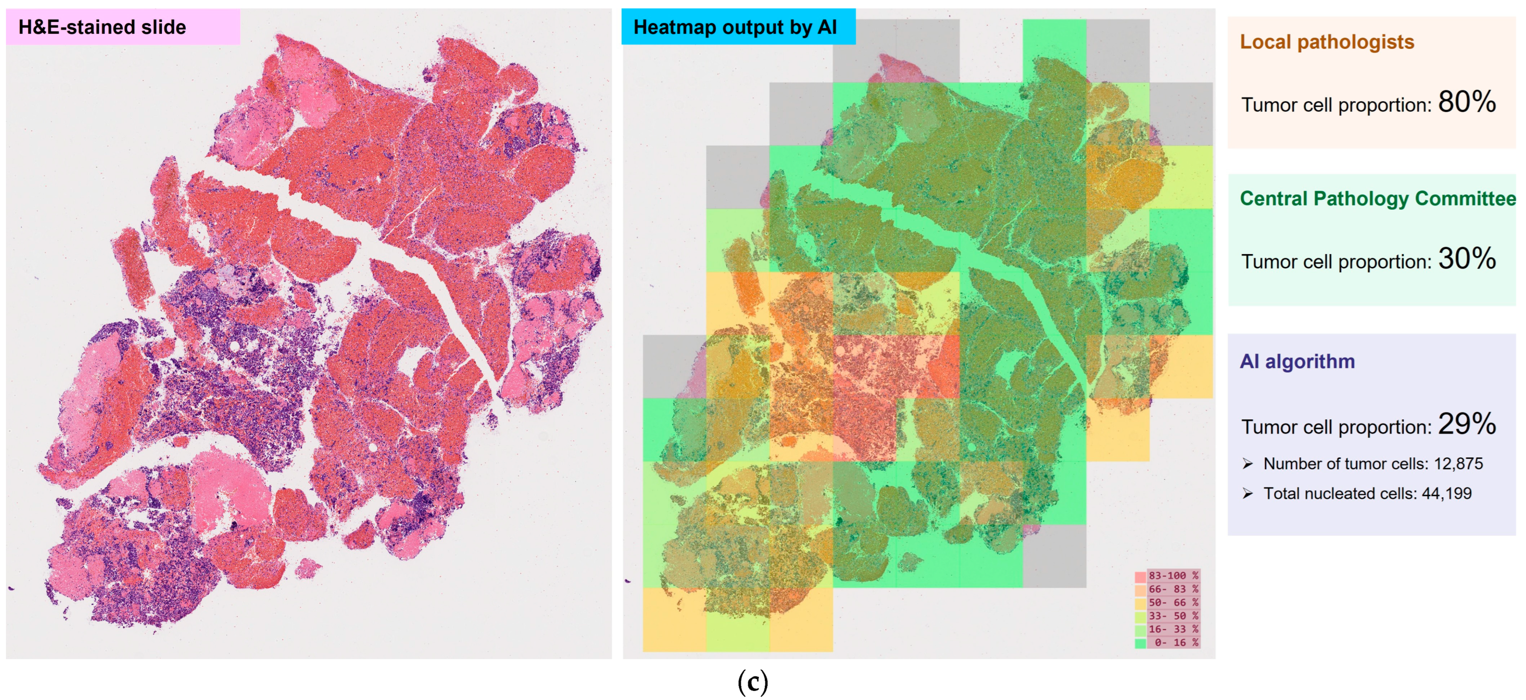 Diagnostics 15 02165 g002b Diagnostics 15 02165 g002b