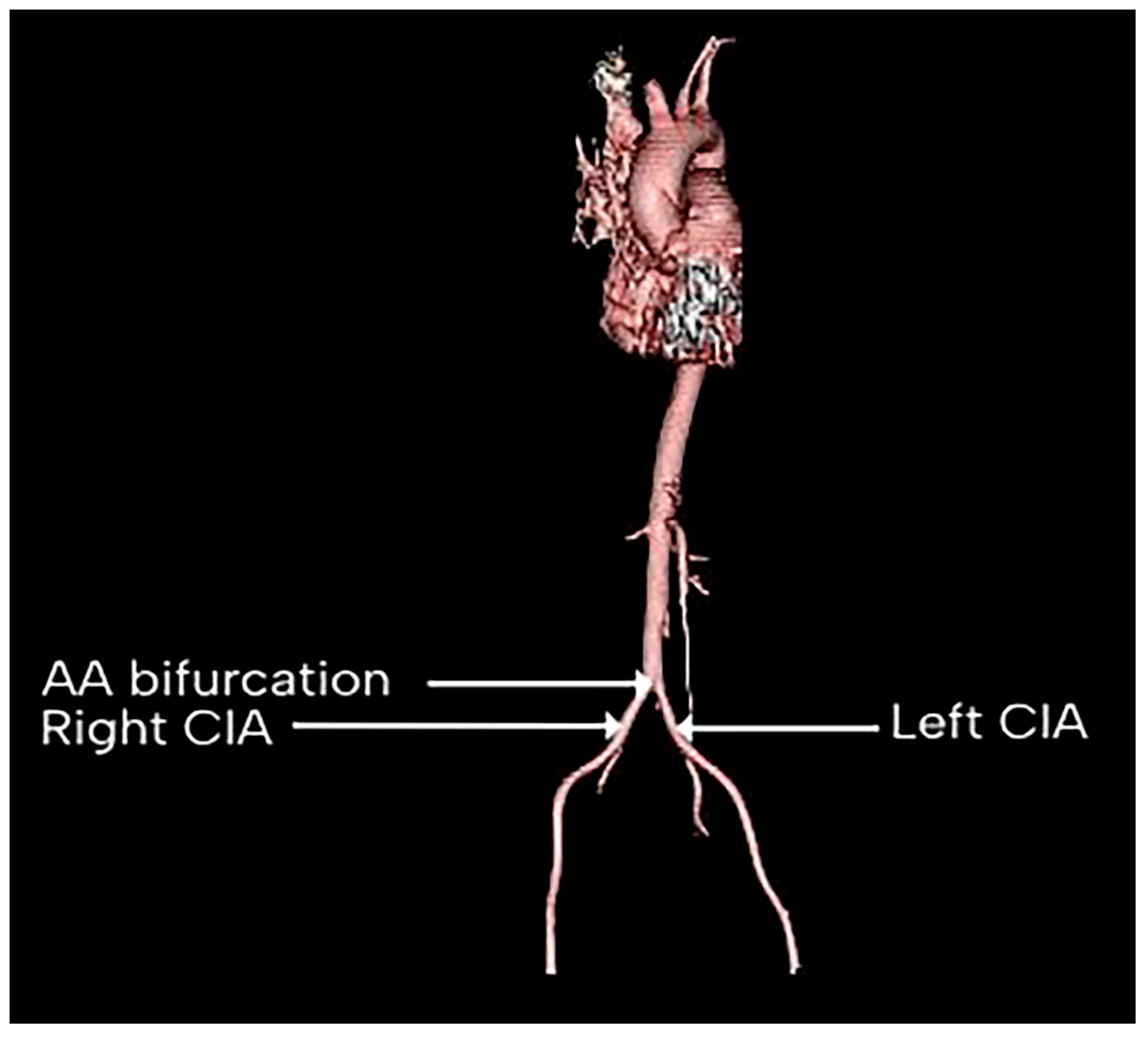 Diagnostics 15 02167 g001