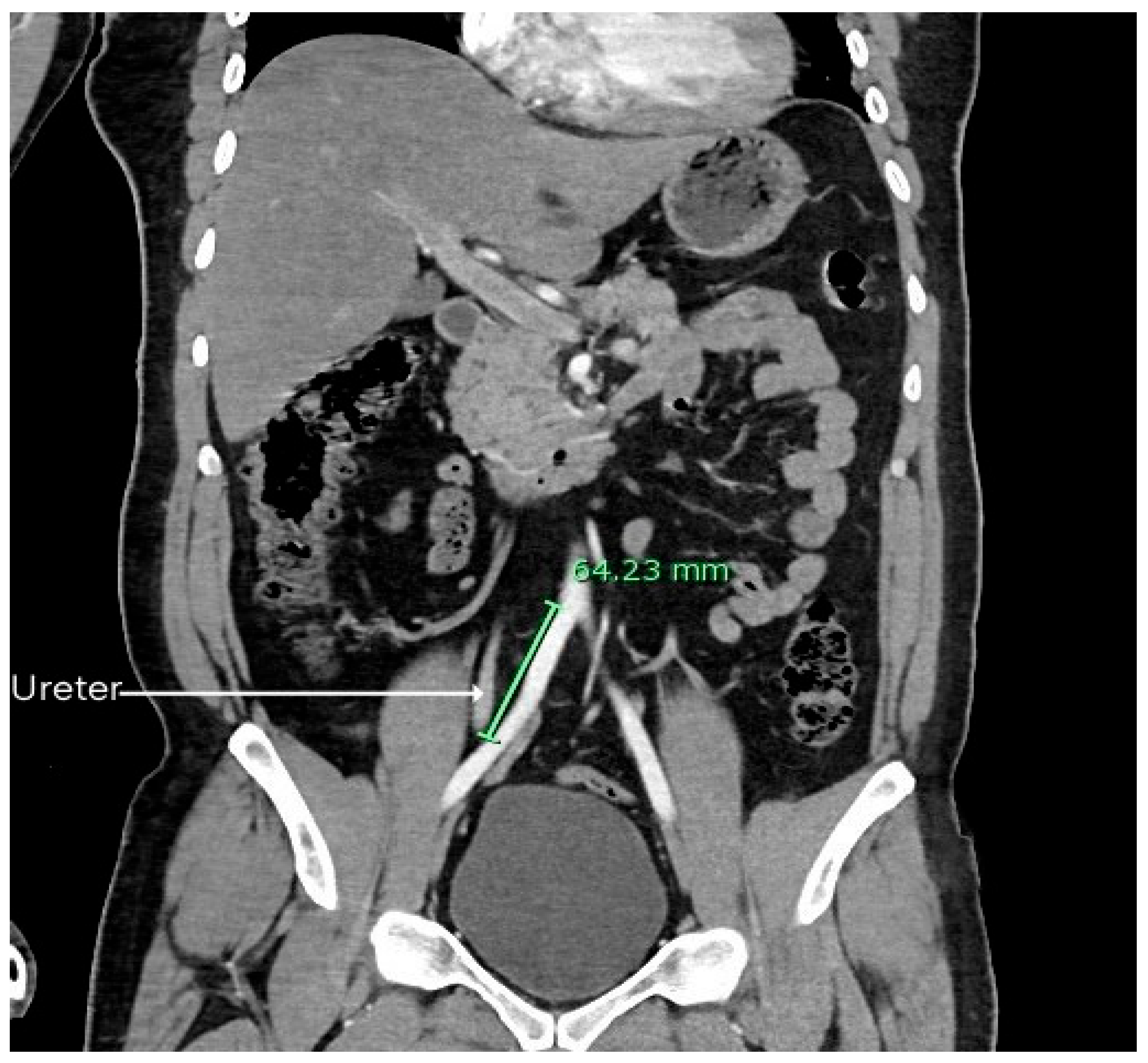 Diagnostics 15 02167 g003