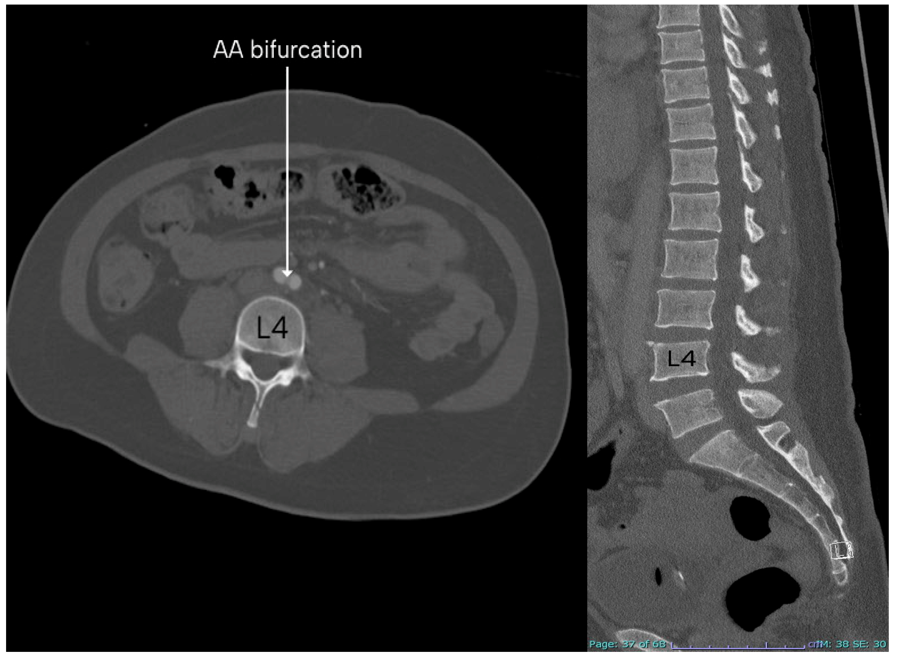 Diagnostics 15 02167 g005