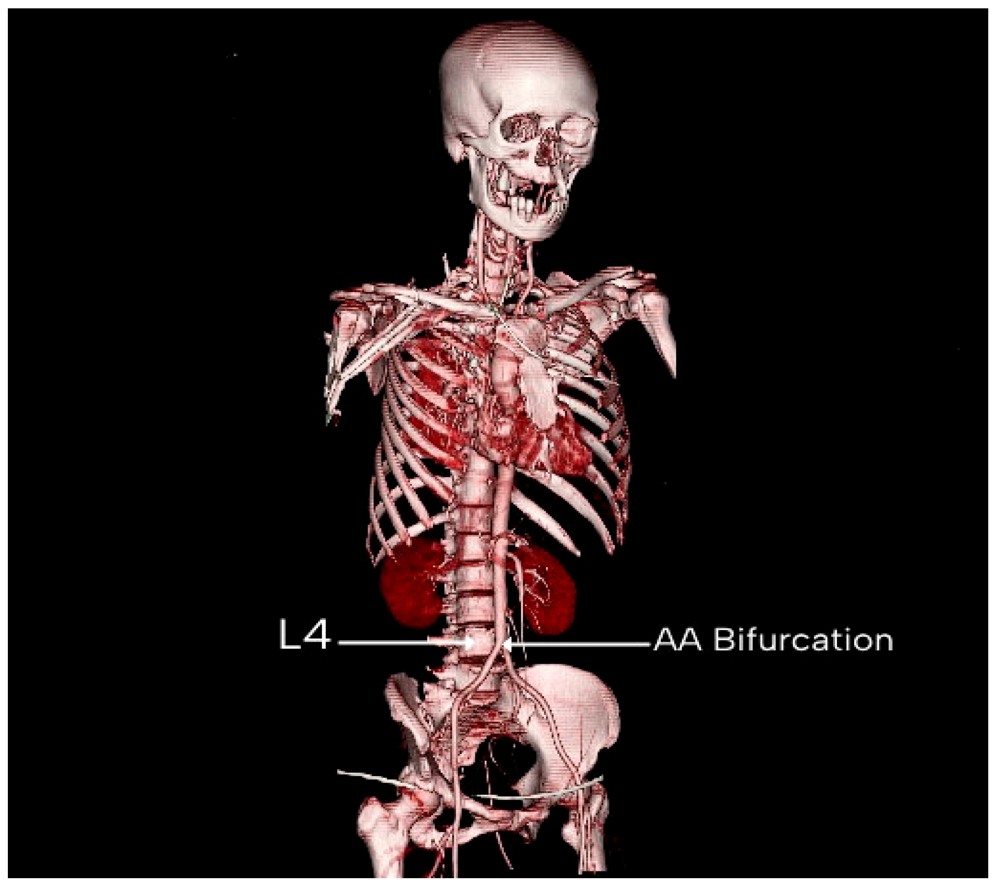Diagnostics 15 02167 g006