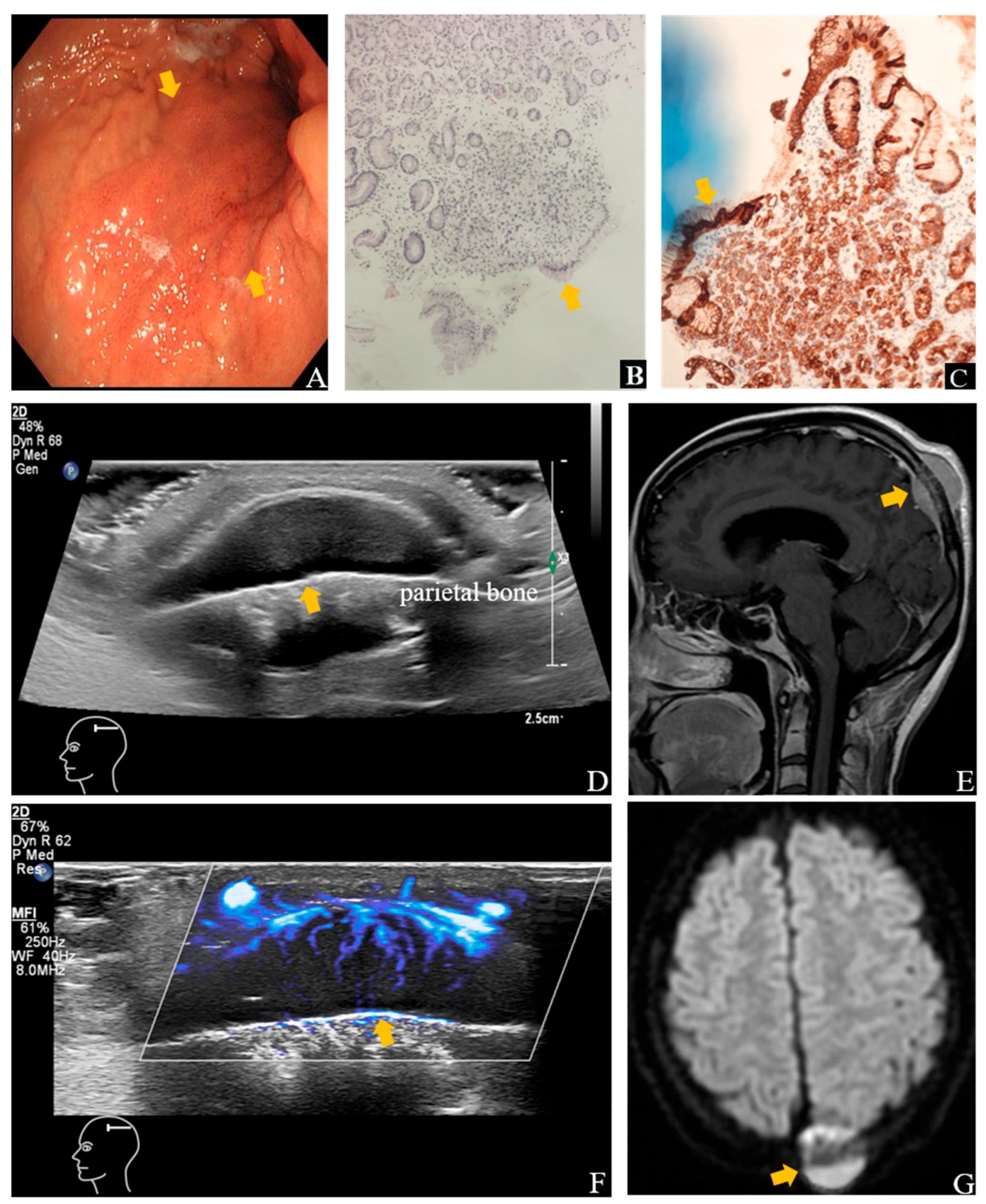 Diagnostics 15 02177 g001