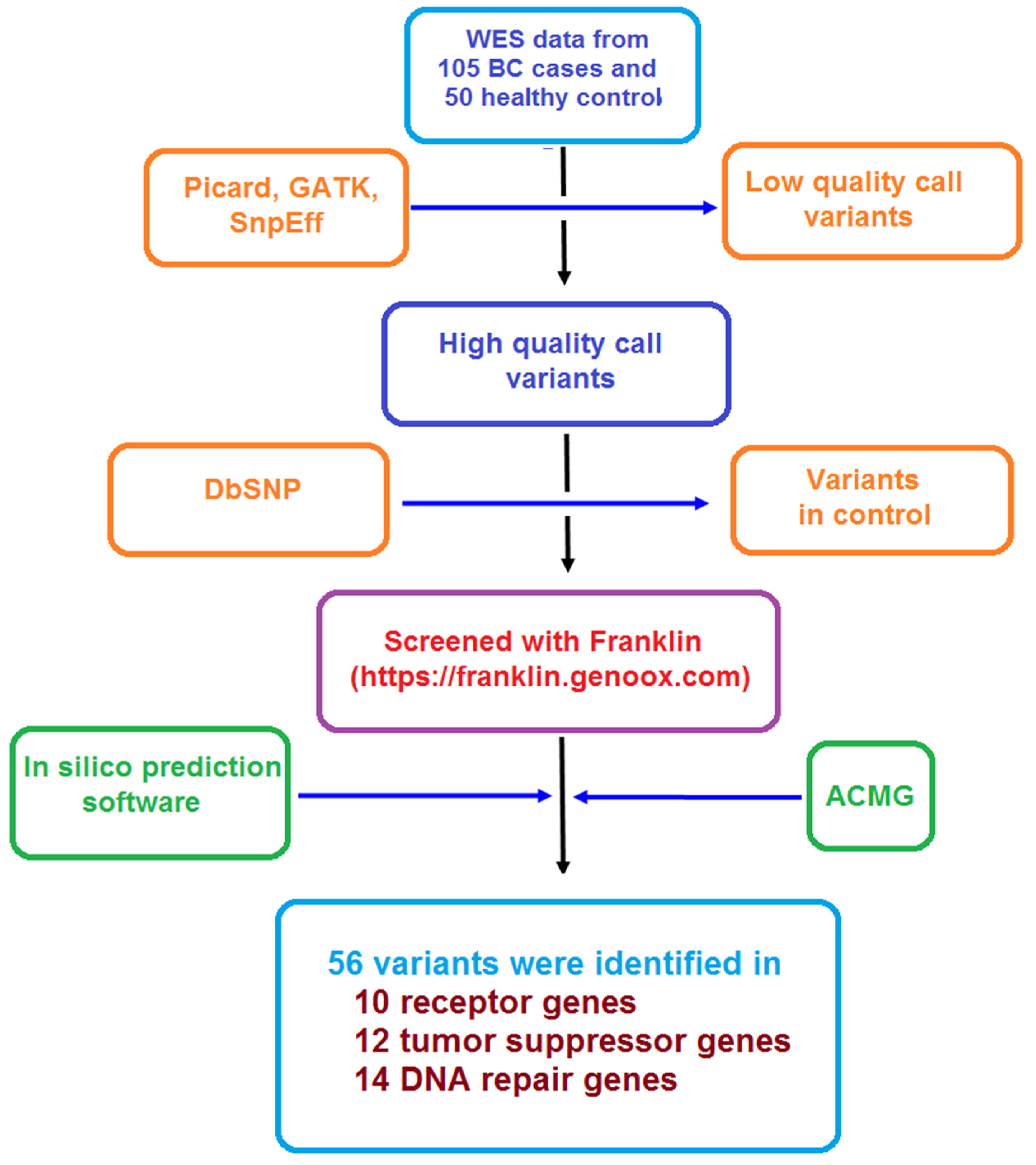 Diagnostics 15 02187 g001