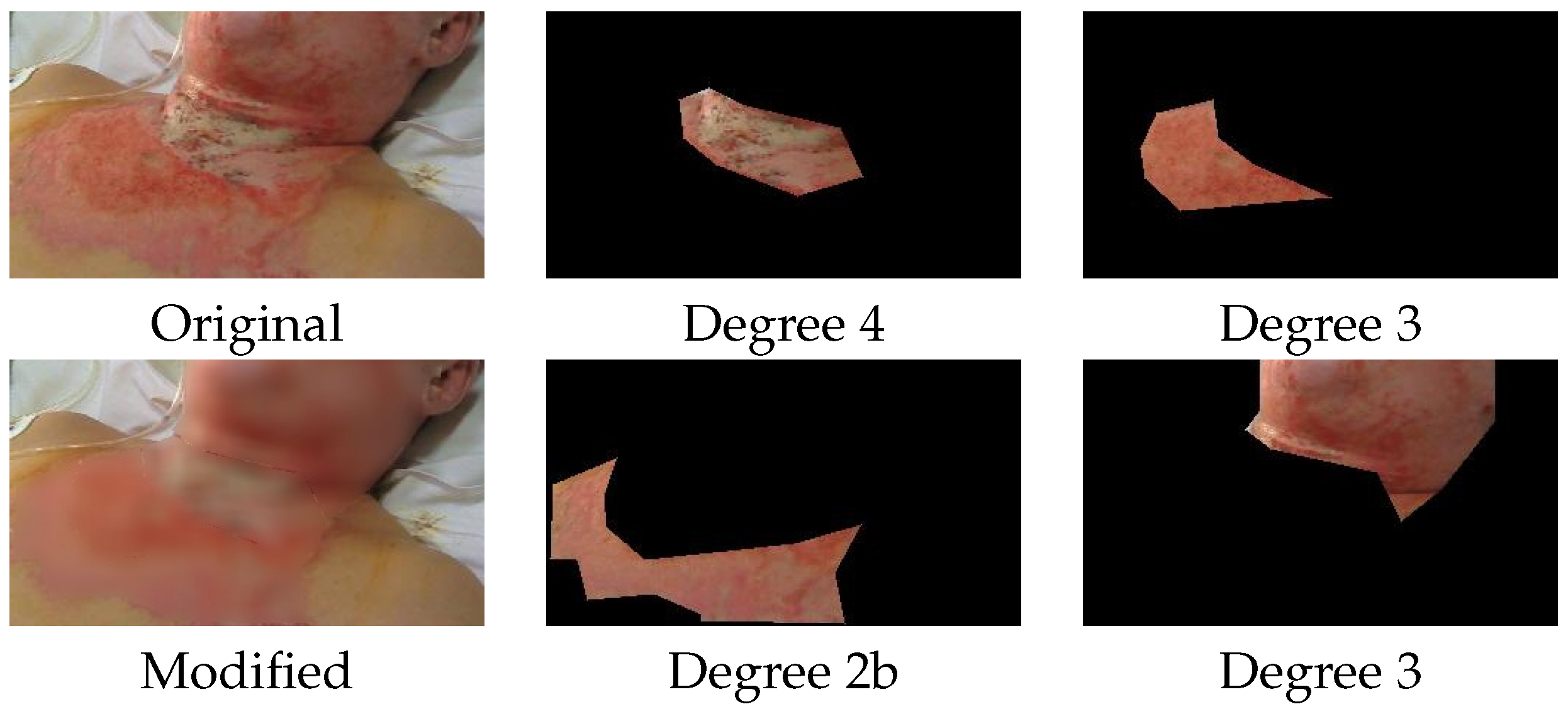 Diagnostics 15 02189 g006