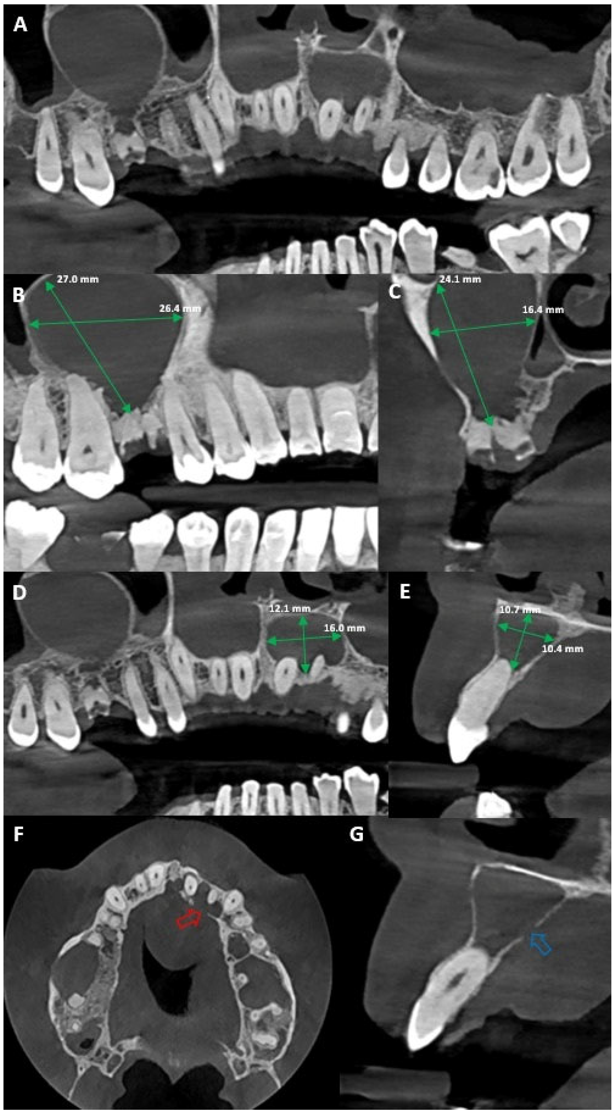 Diagnostics 15 02195 g002