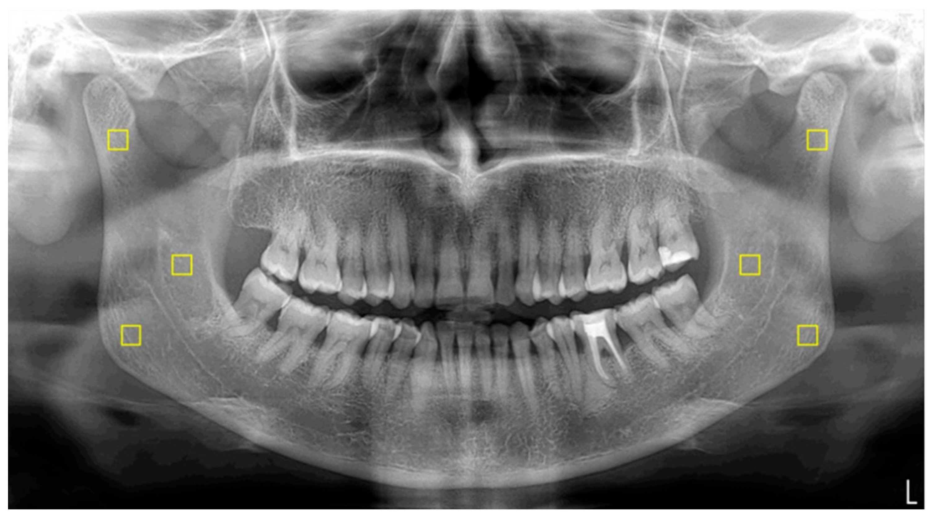 Diagnostics 15 02201 g001