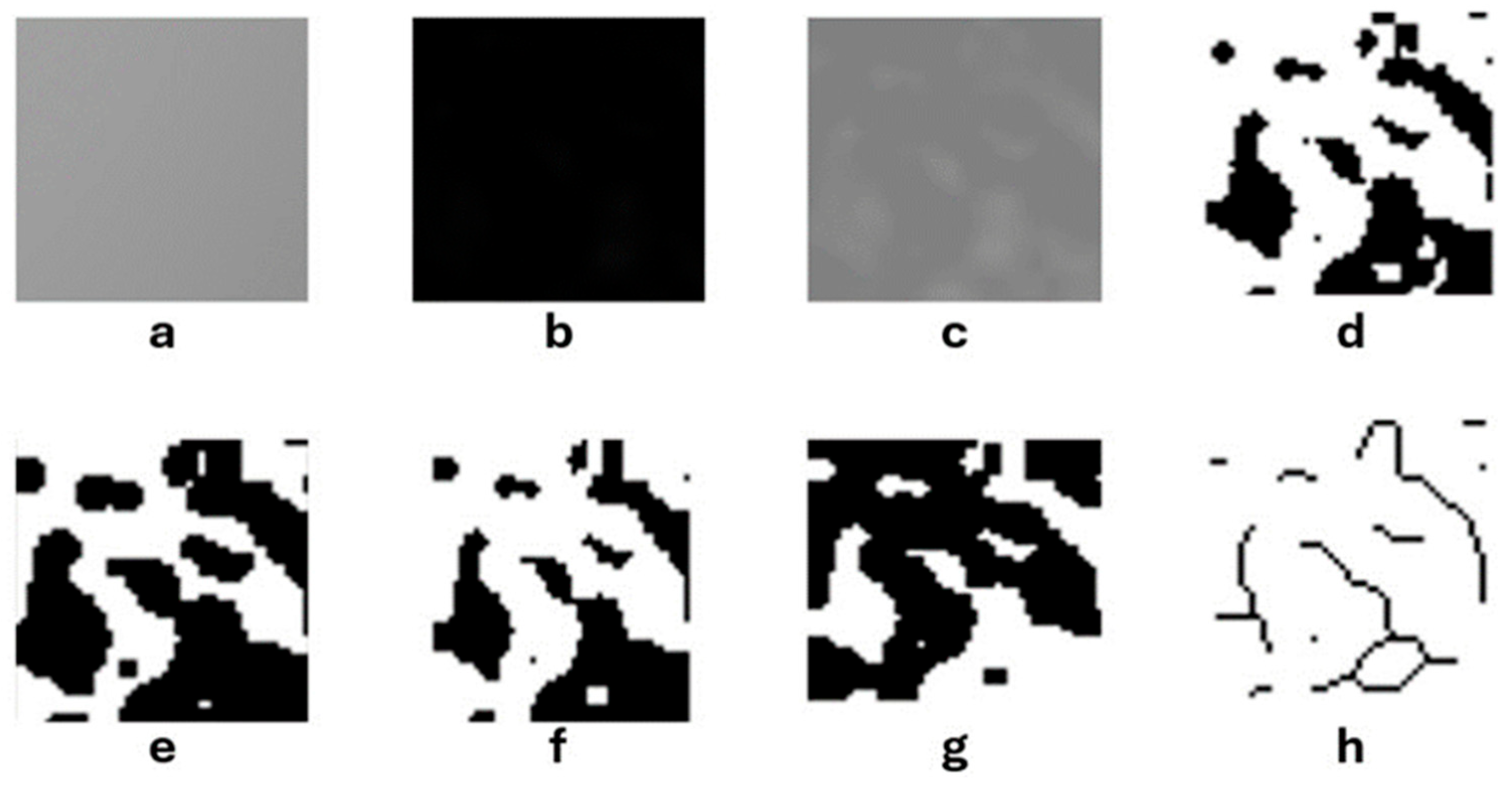 Diagnostics 15 02201 g002