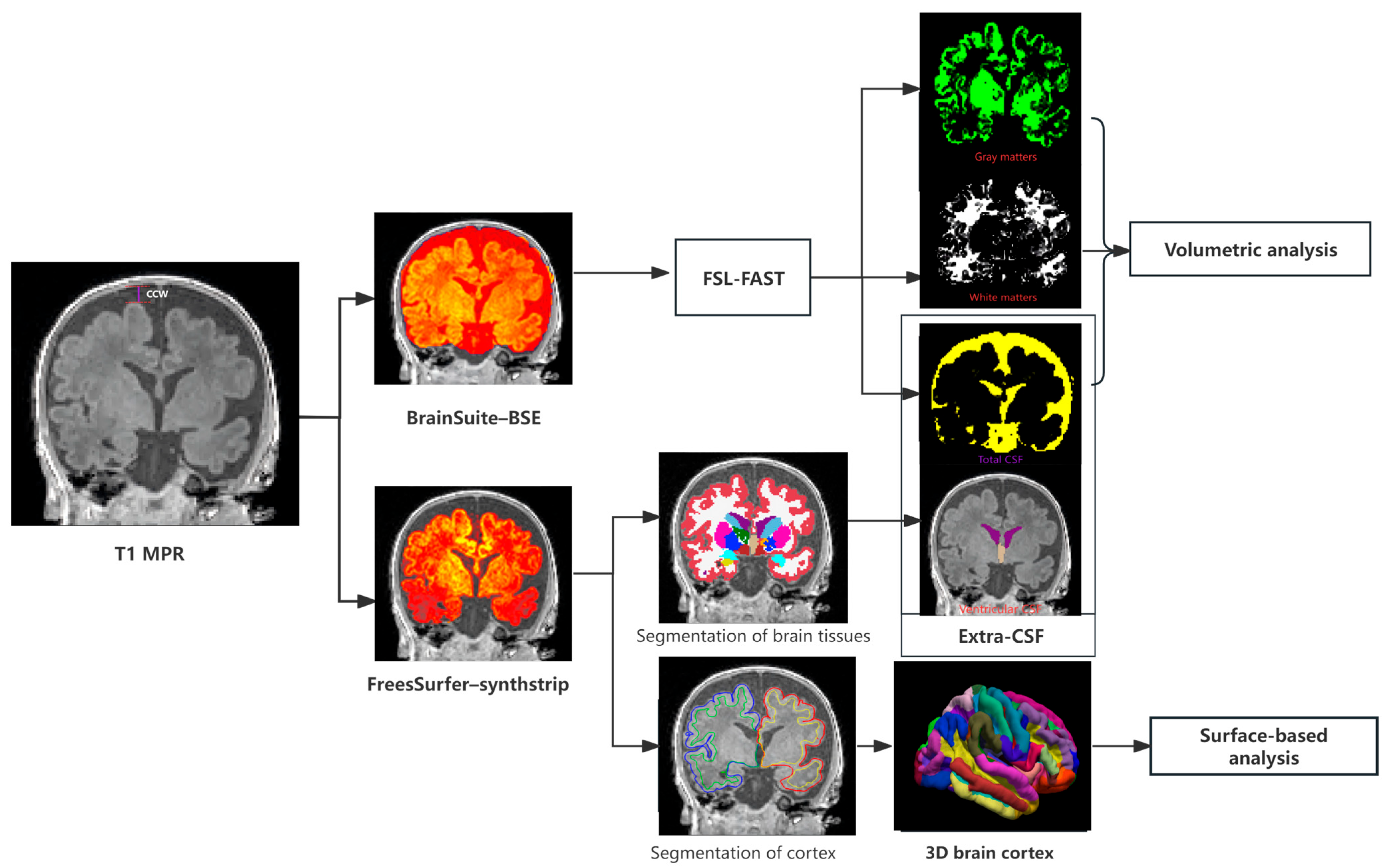 Diagnostics 15 02206 g002