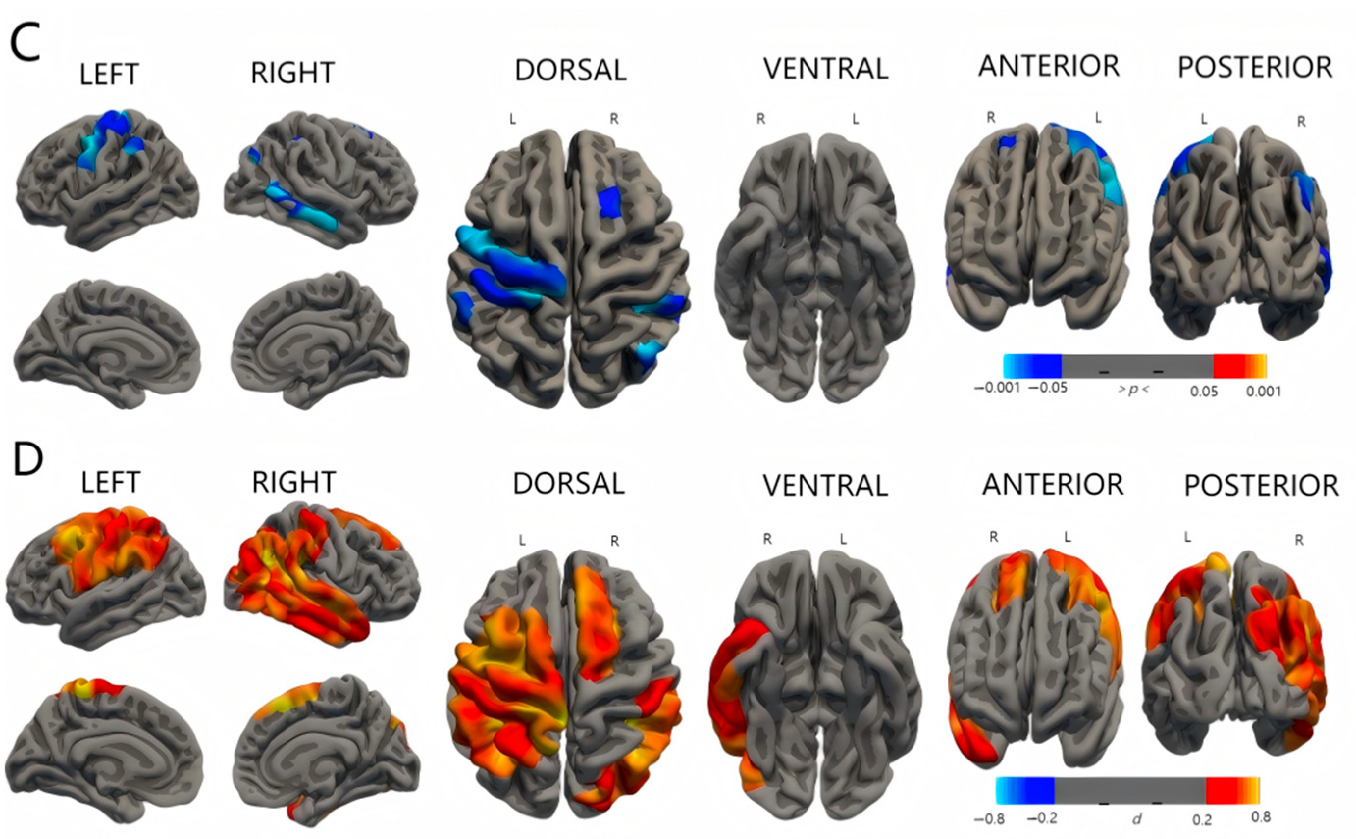 Diagnostics 15 02206 g005