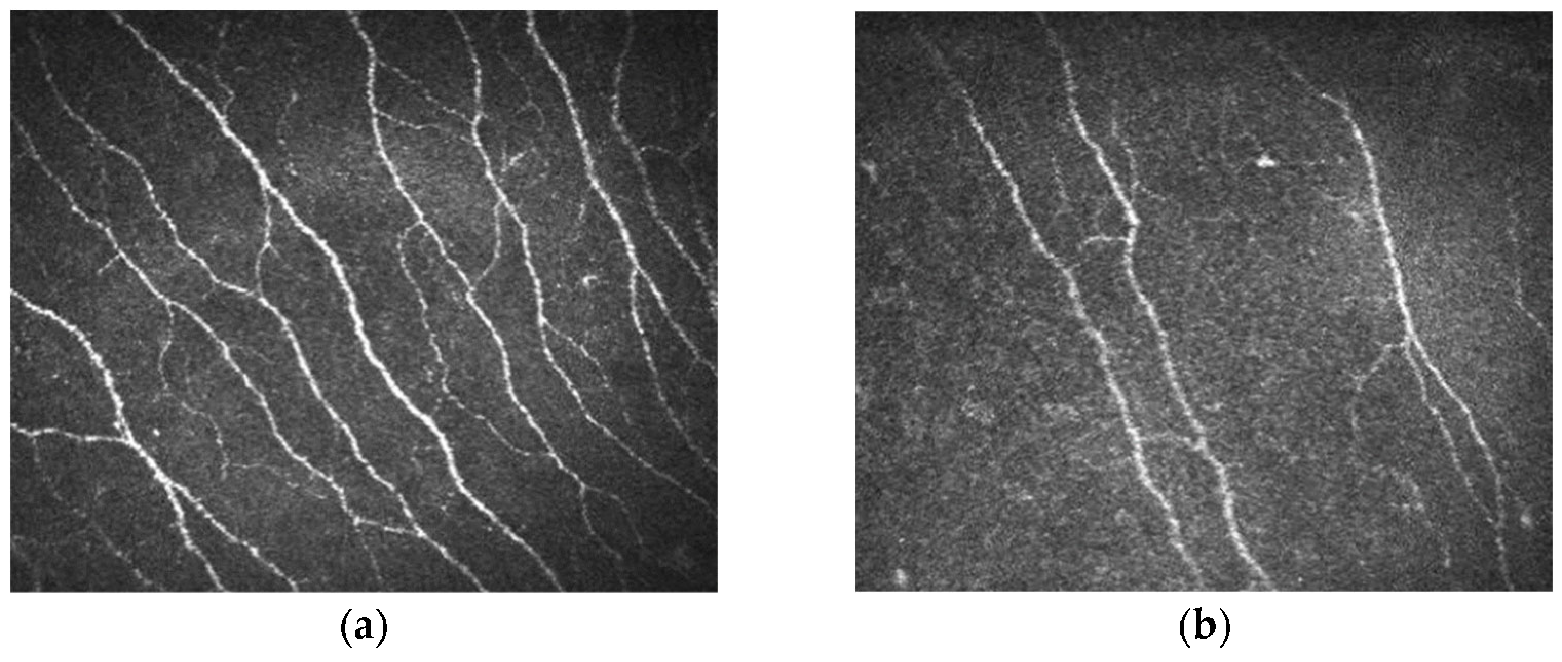 Diagnostics 15 02207 g001