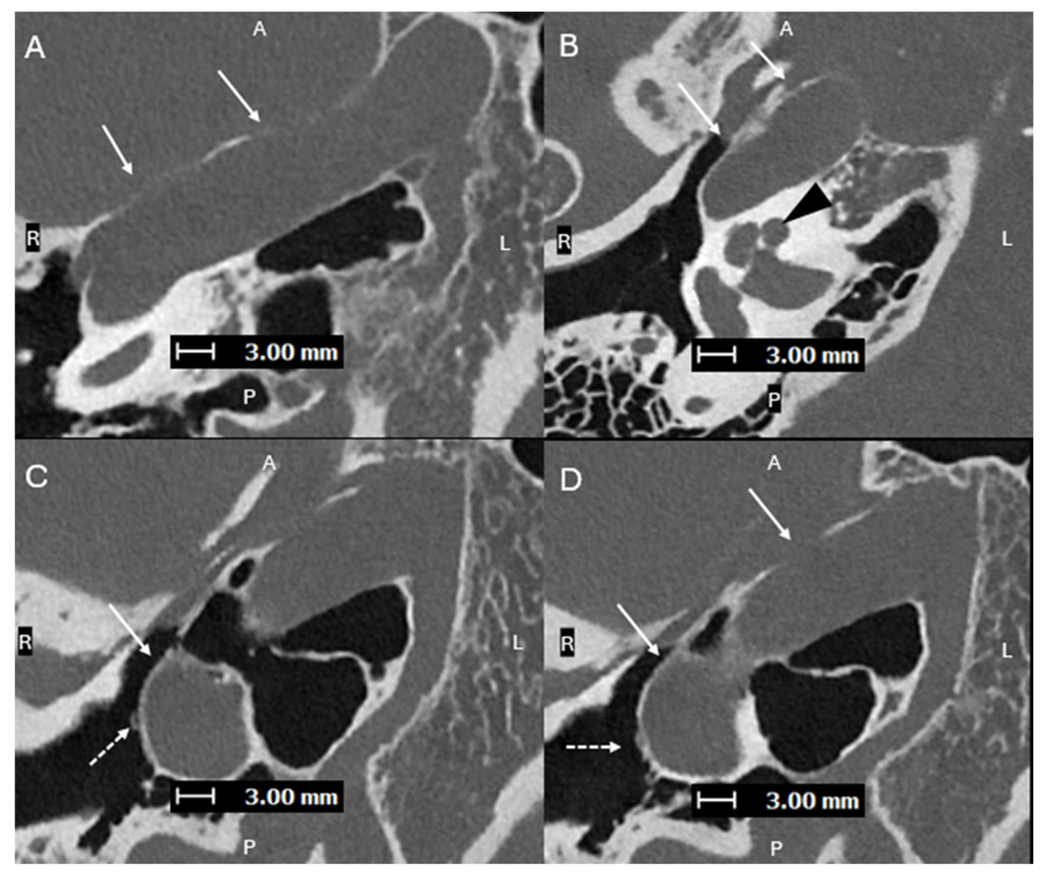 Diagnostics 15 02213 g003