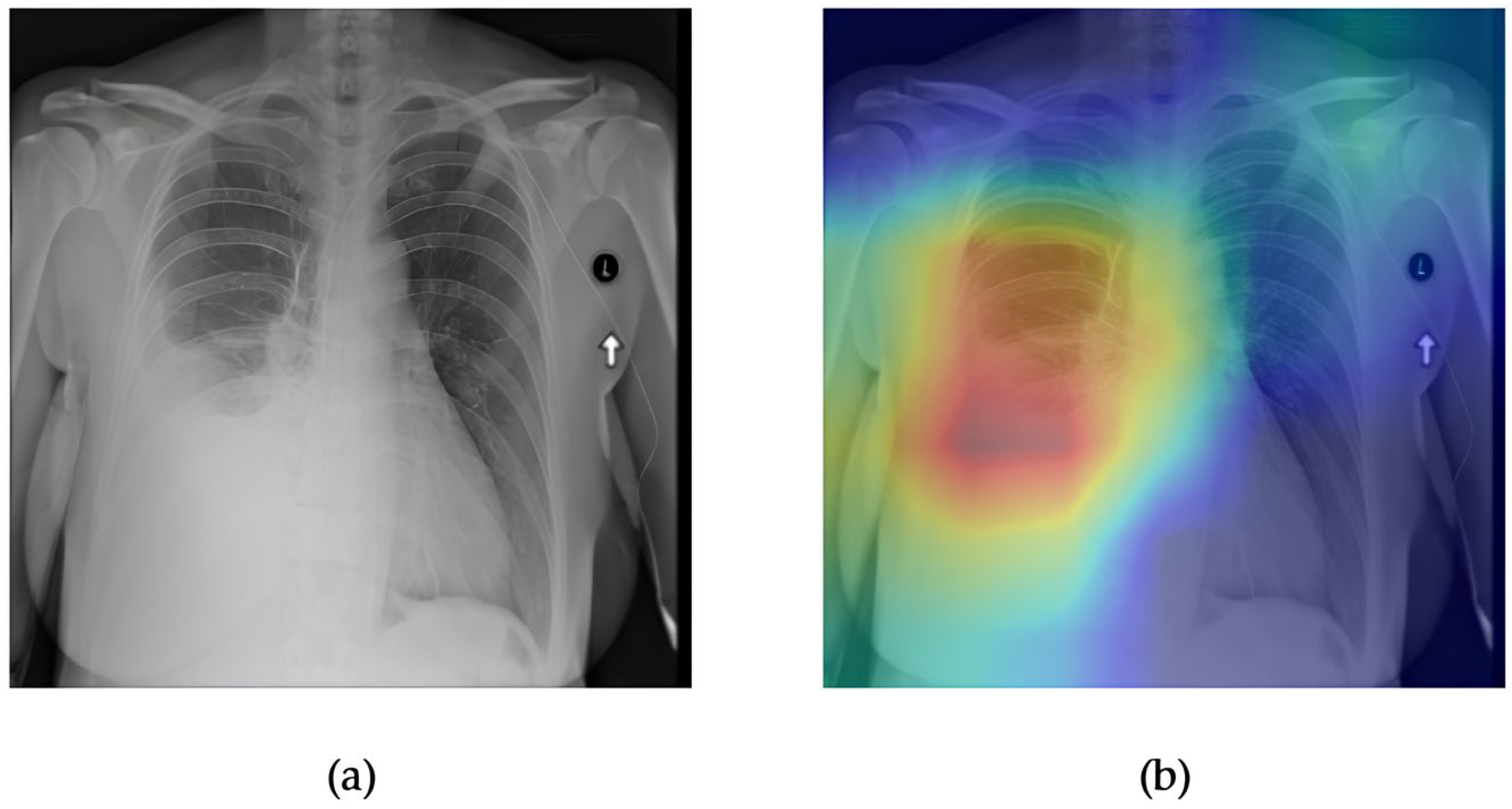 Diagnostics 15 02215 g009