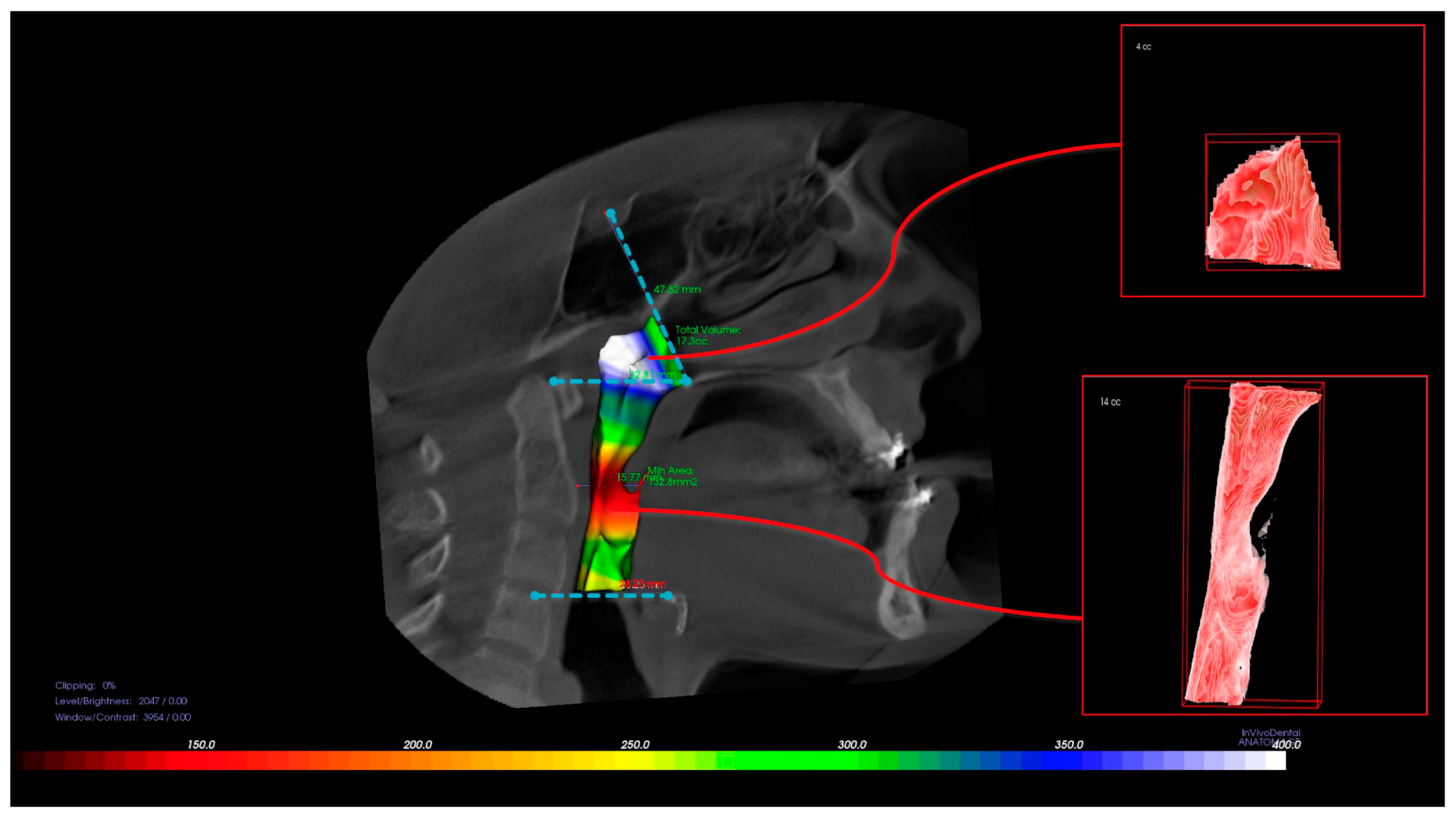 Diagnostics 15 02217 g001