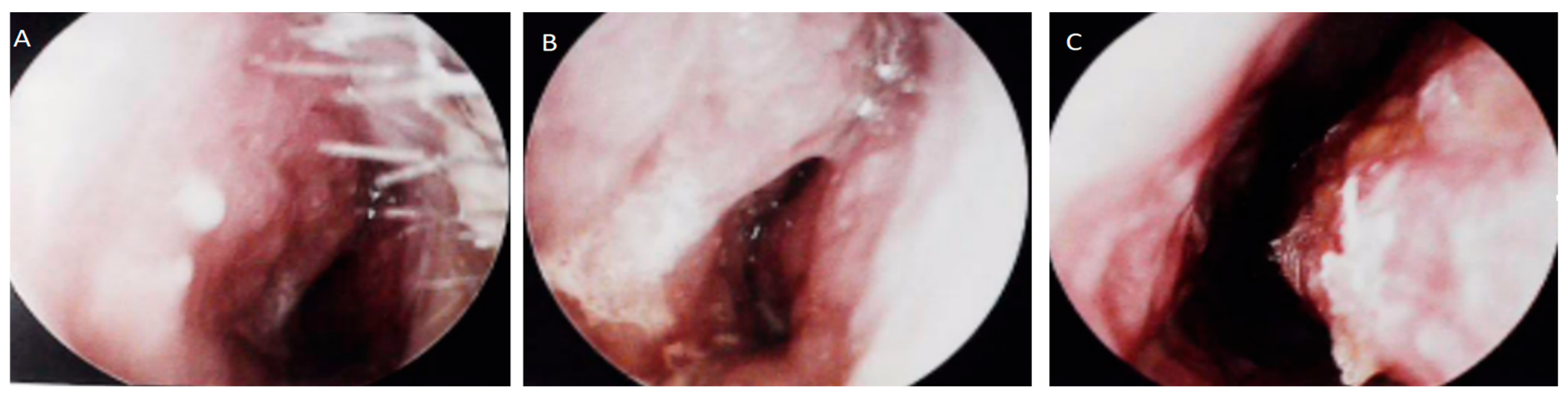 Diagnostics 15 02218 g001 Diagnostics 15 02218 g001