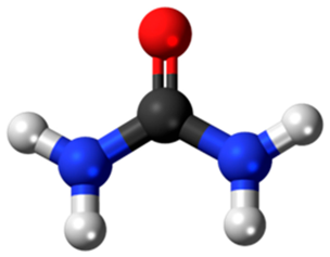 Diagnostics 15 02226 i002 Diagnostics 15 02226 i002