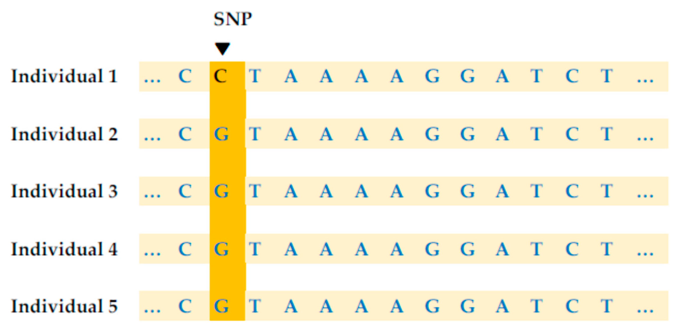 Diagnostics 15 02227 g001 Diagnostics 15 02227 g001