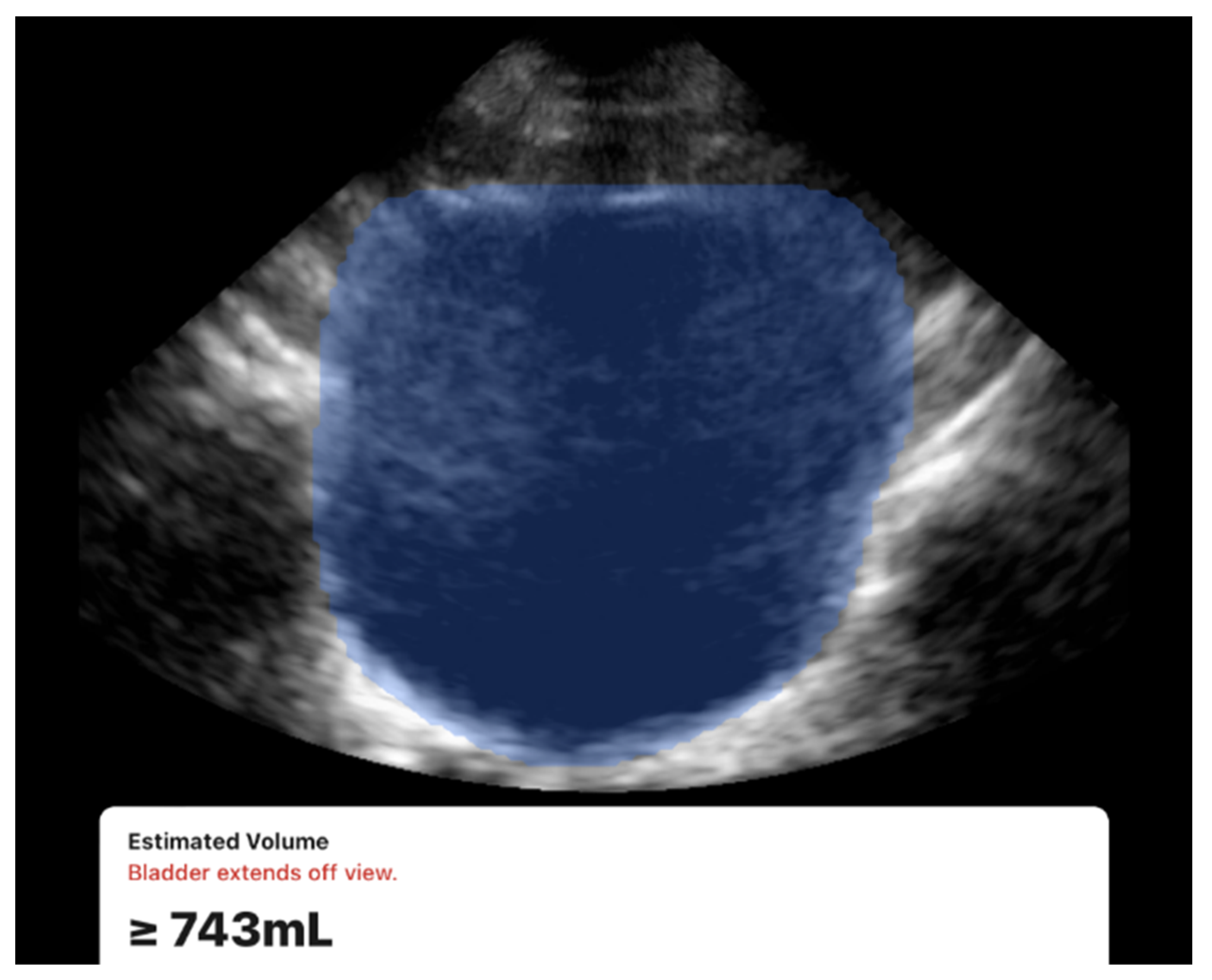 Diagnostics 15 02229 g003