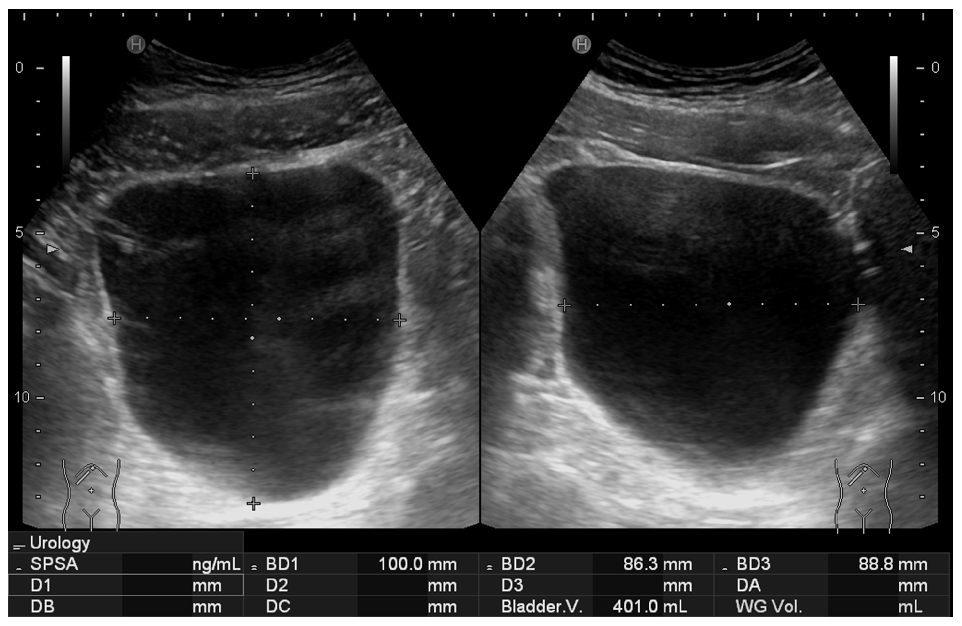 Diagnostics 15 02229 g004