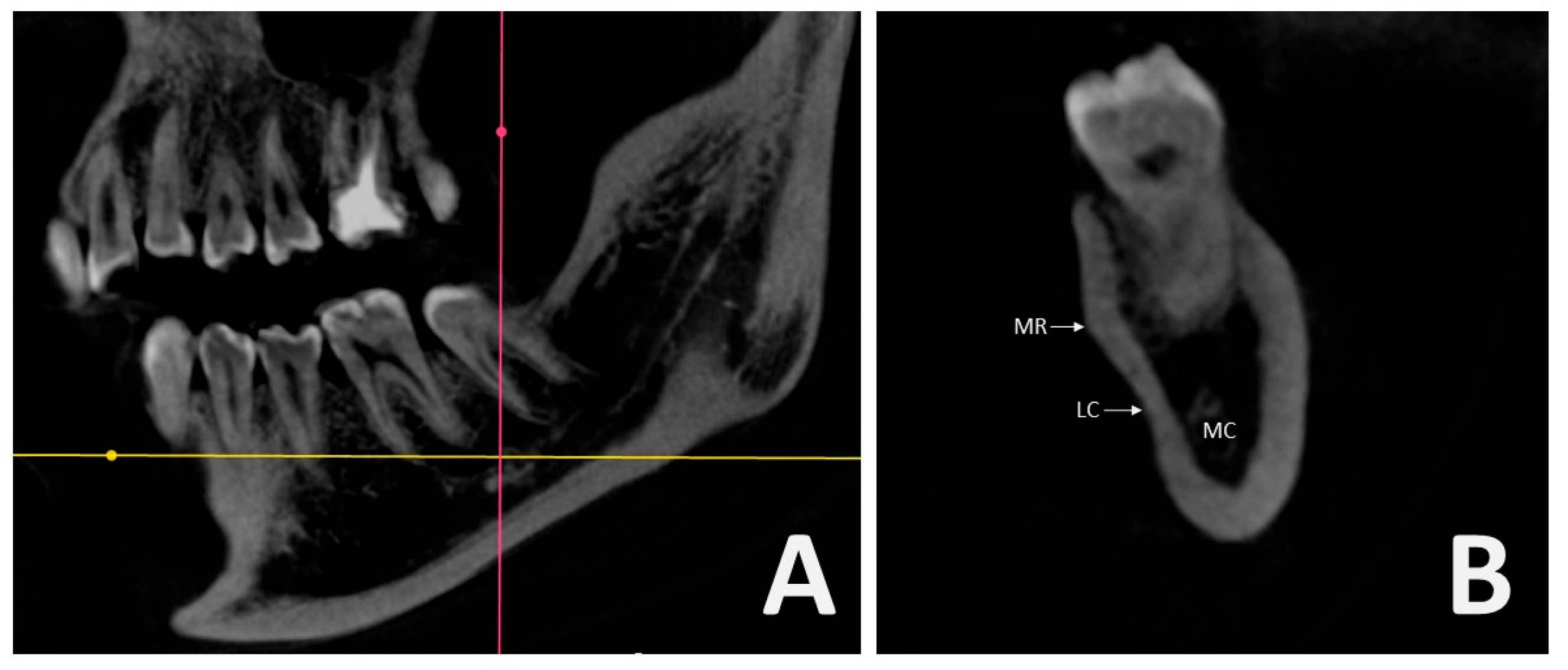 Diagnostics 15 02233 g001