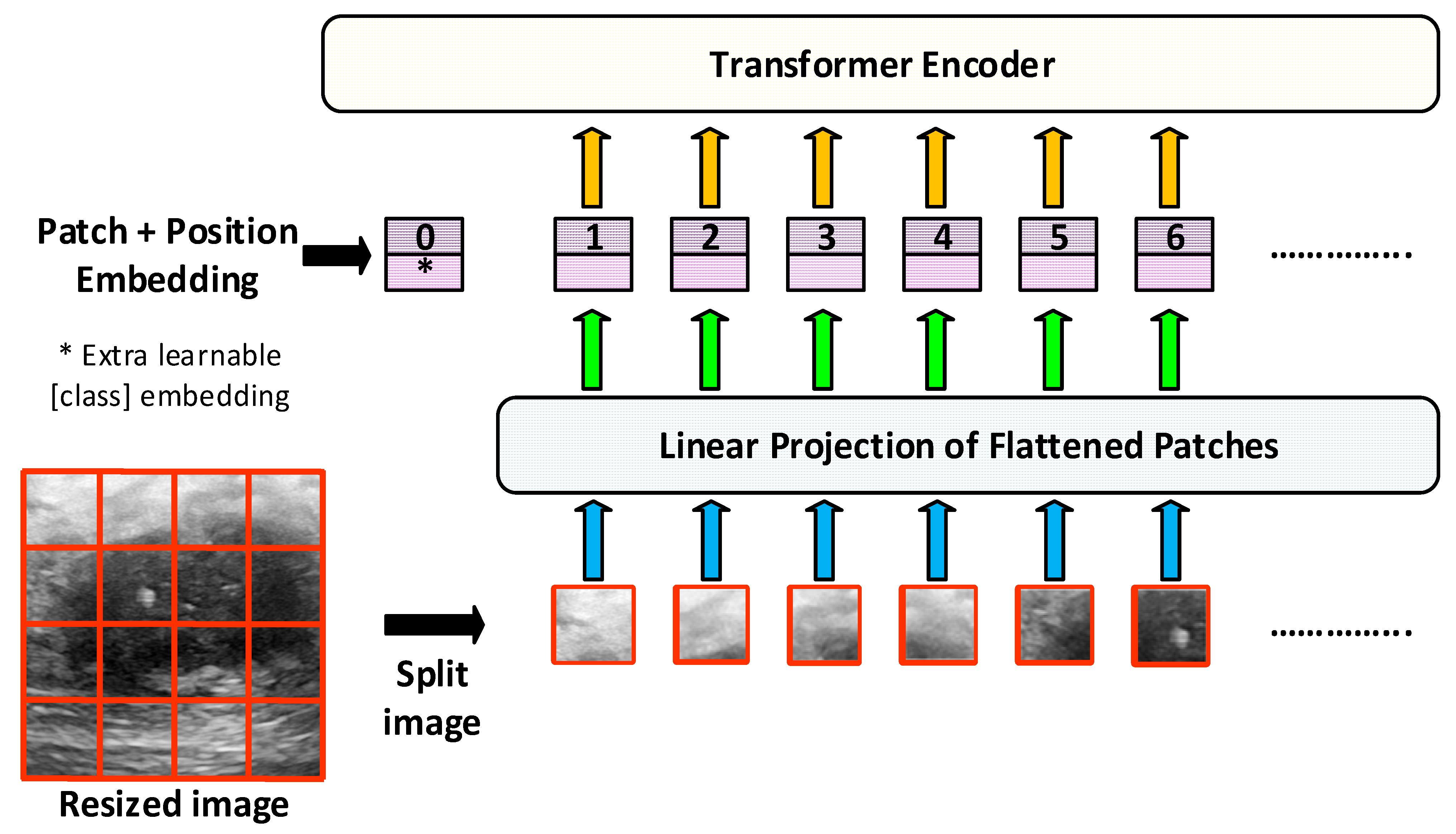 Diagnostics 15 02235 g004
