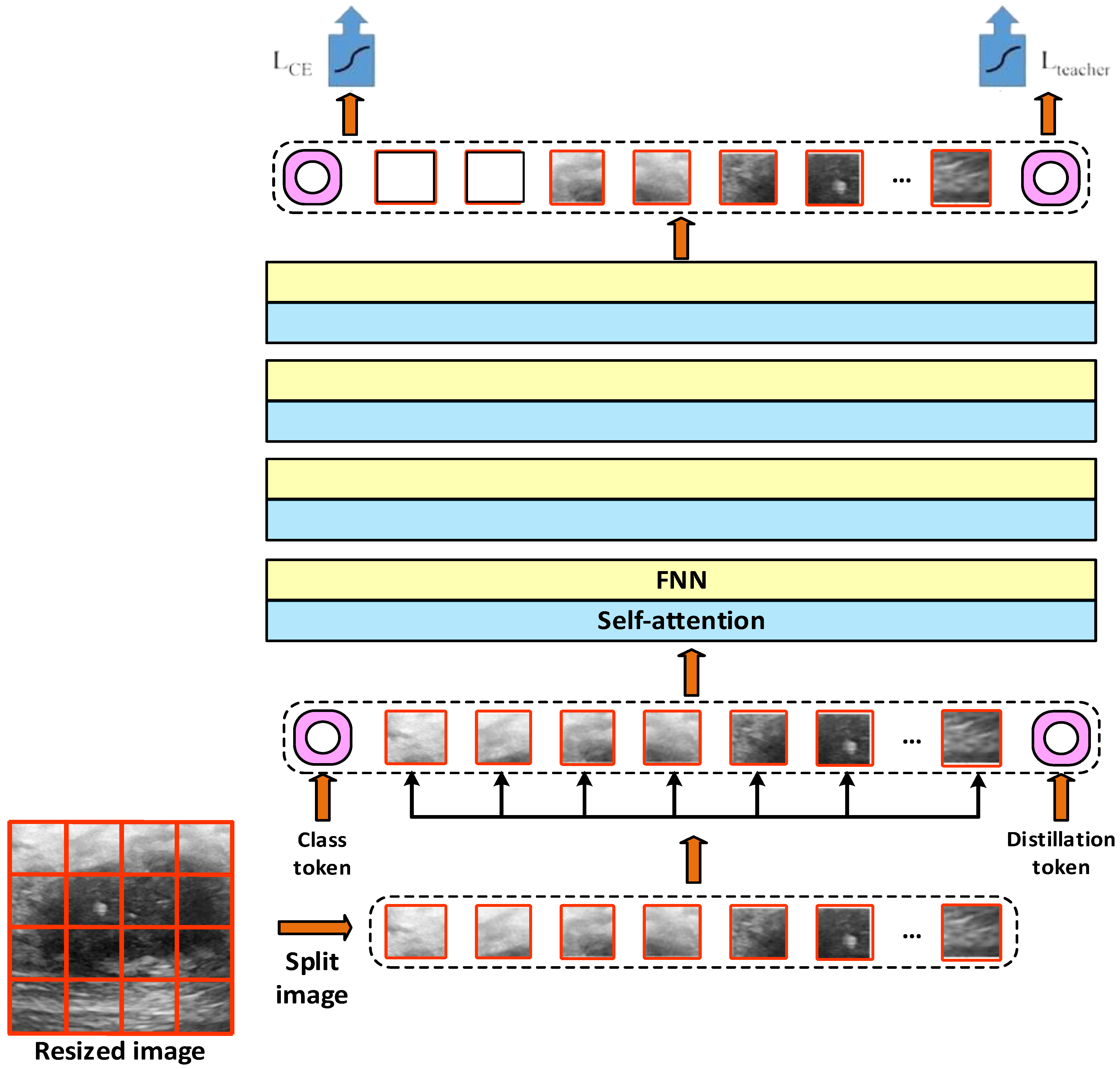 Diagnostics 15 02235 g005