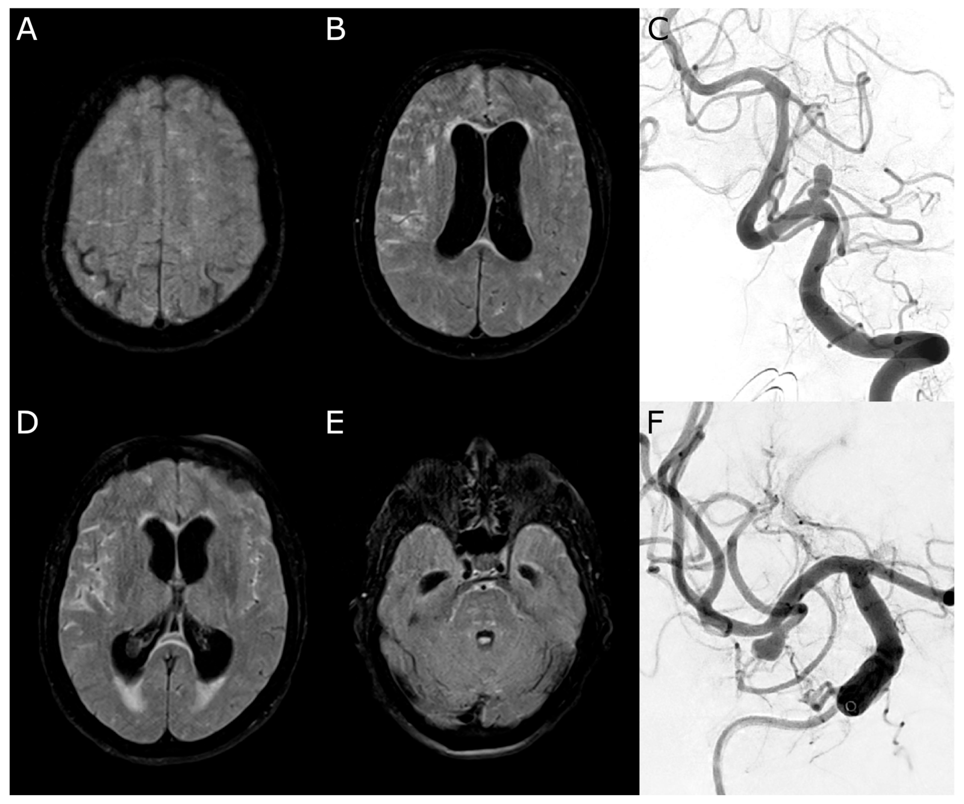 Diagnostics 15 02236 g003 Diagnostics 15 02236 g003