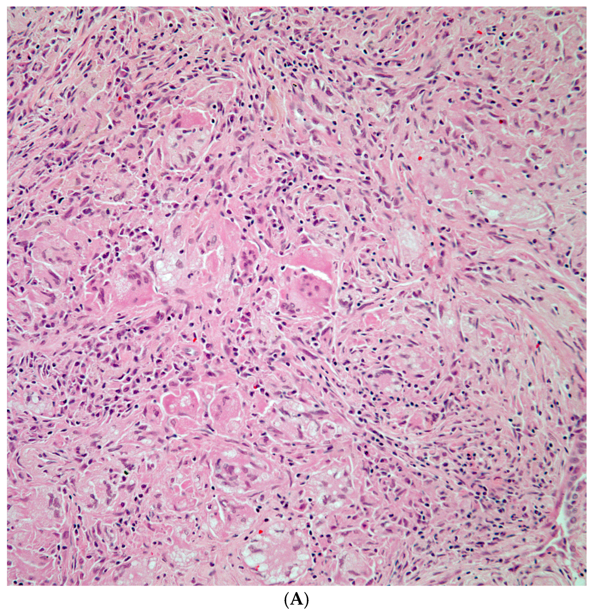 Diagnostics 15 02238 g002a