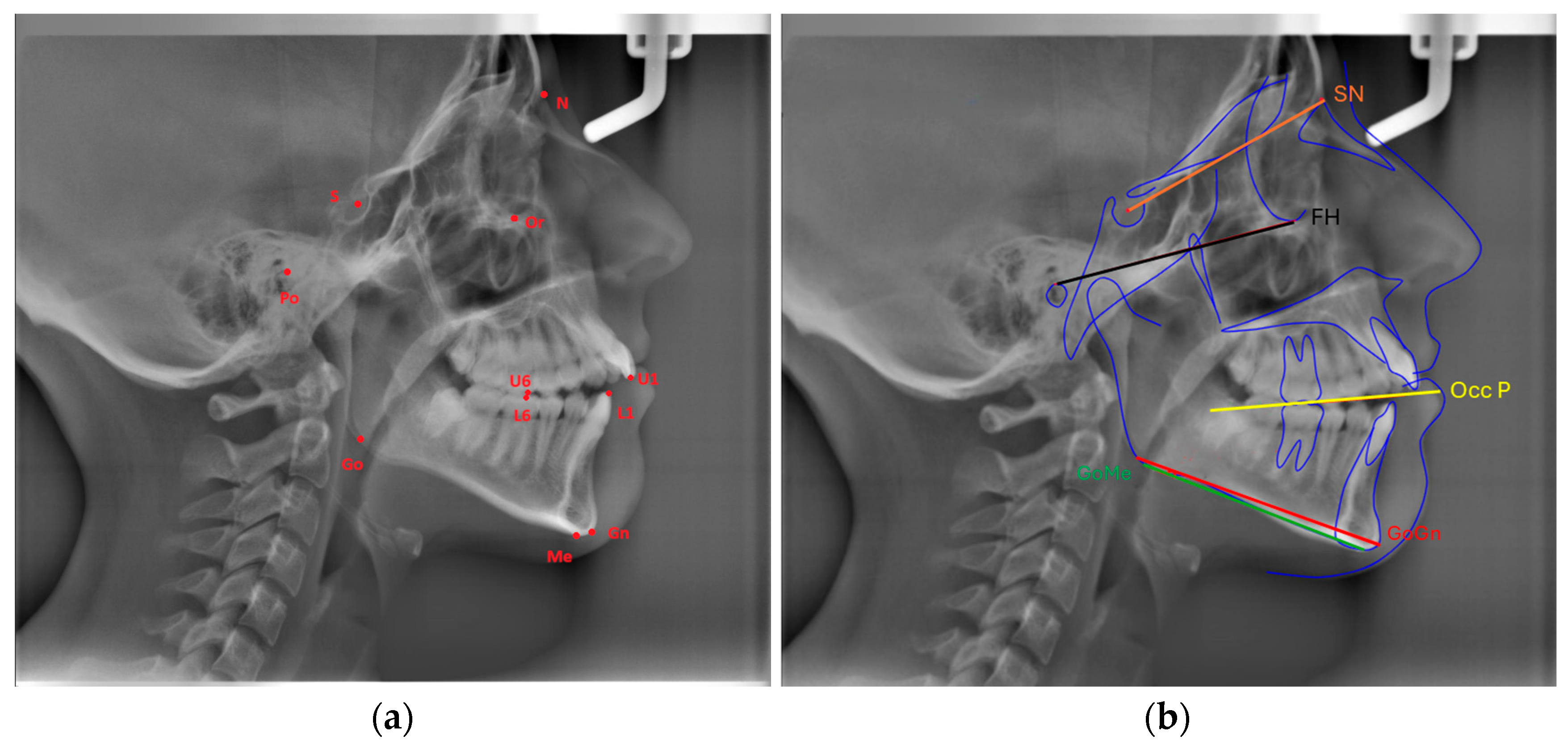 Diagnostics 15 02240 g001
