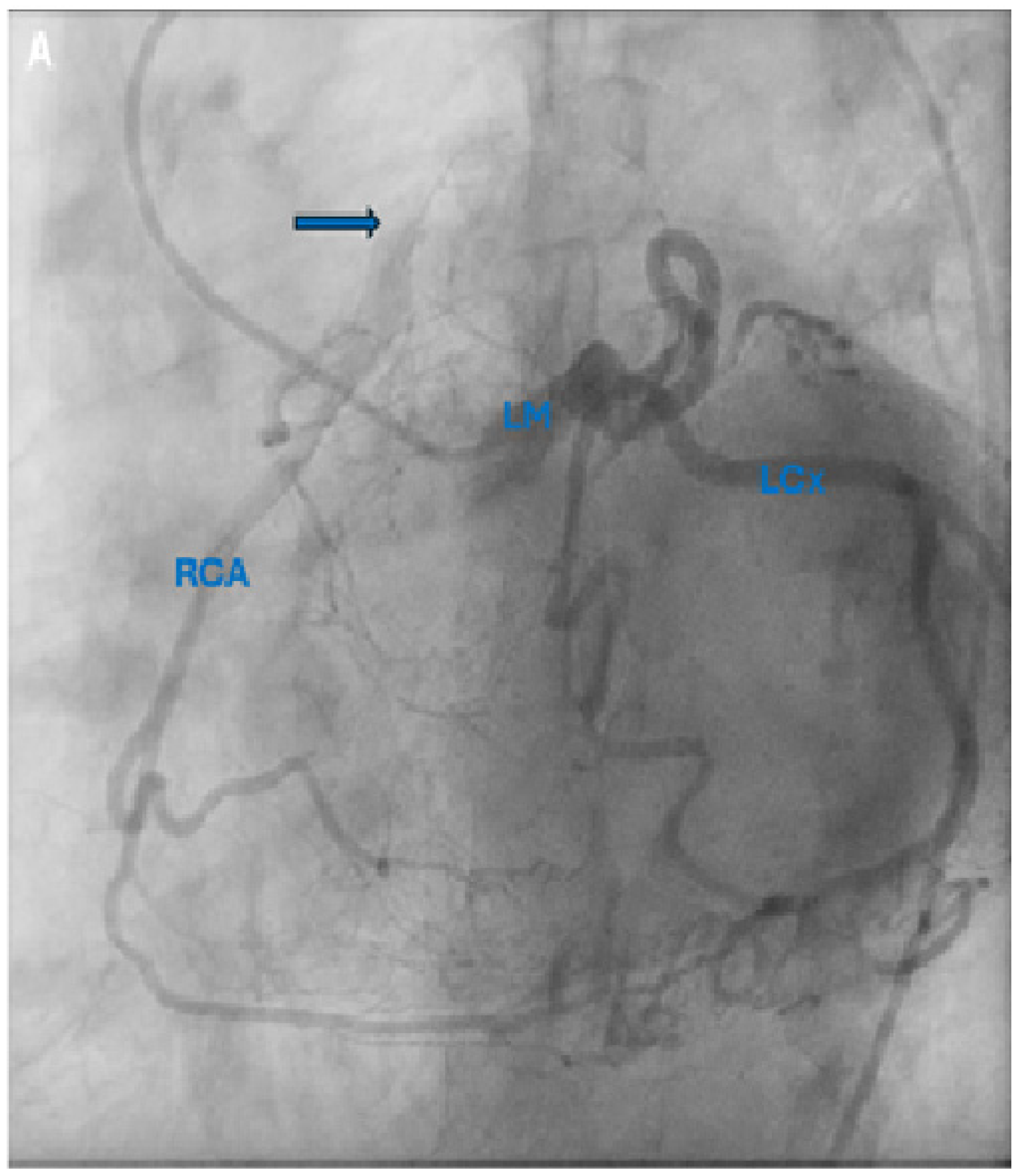 Diagnostics 15 02241 g001a Diagnostics 15 02241 g001a