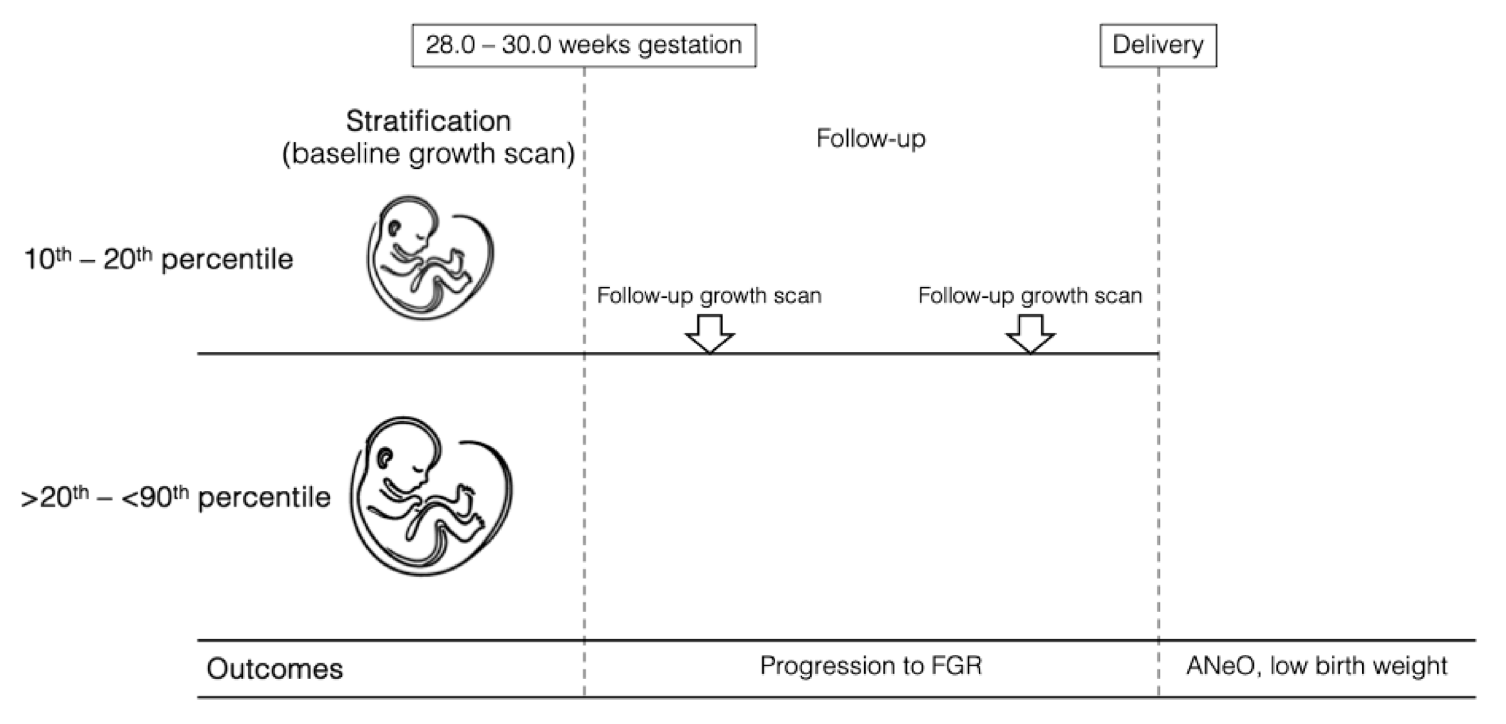 Diagnostics 15 02251 g002 Diagnostics 15 02251 g002