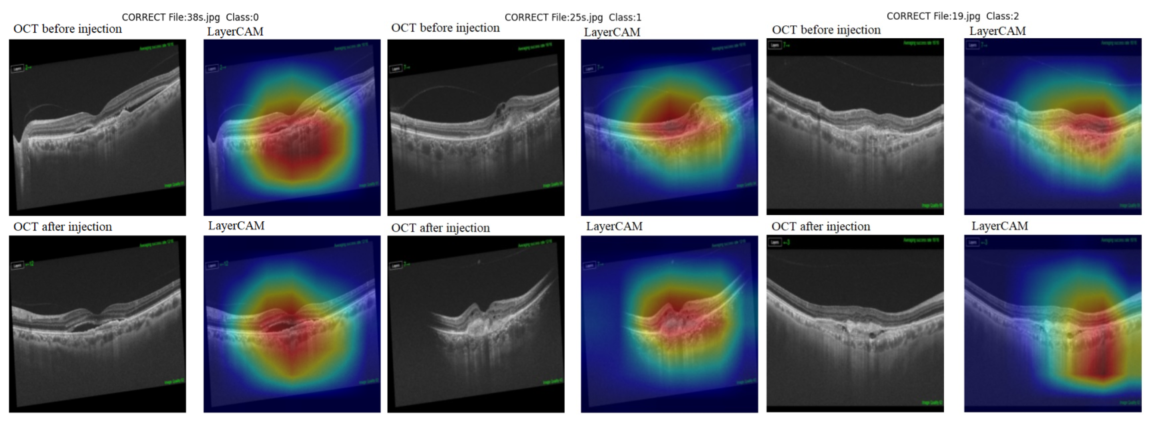 Diagnostics 15 02253 g005
