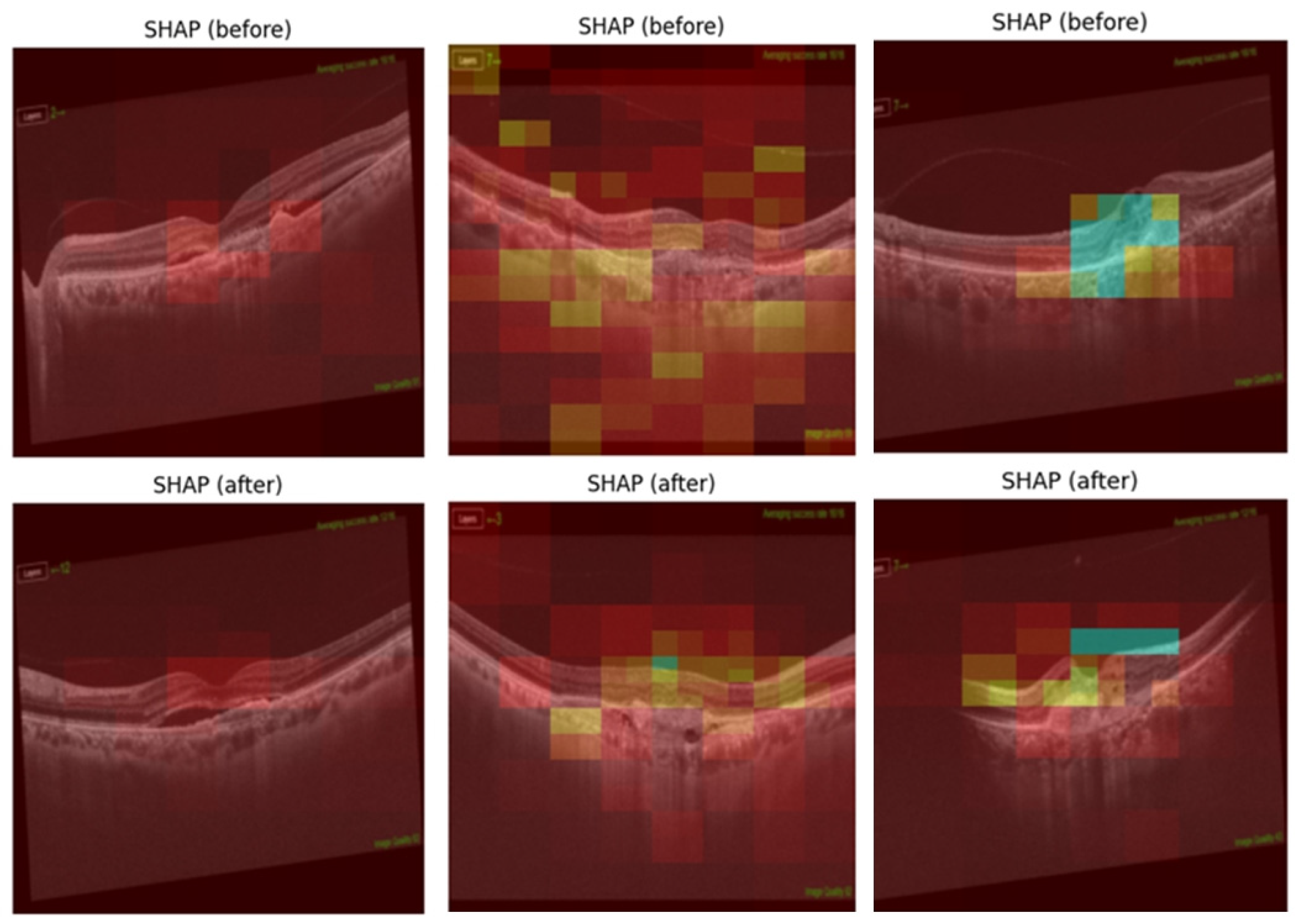 Diagnostics 15 02253 g006