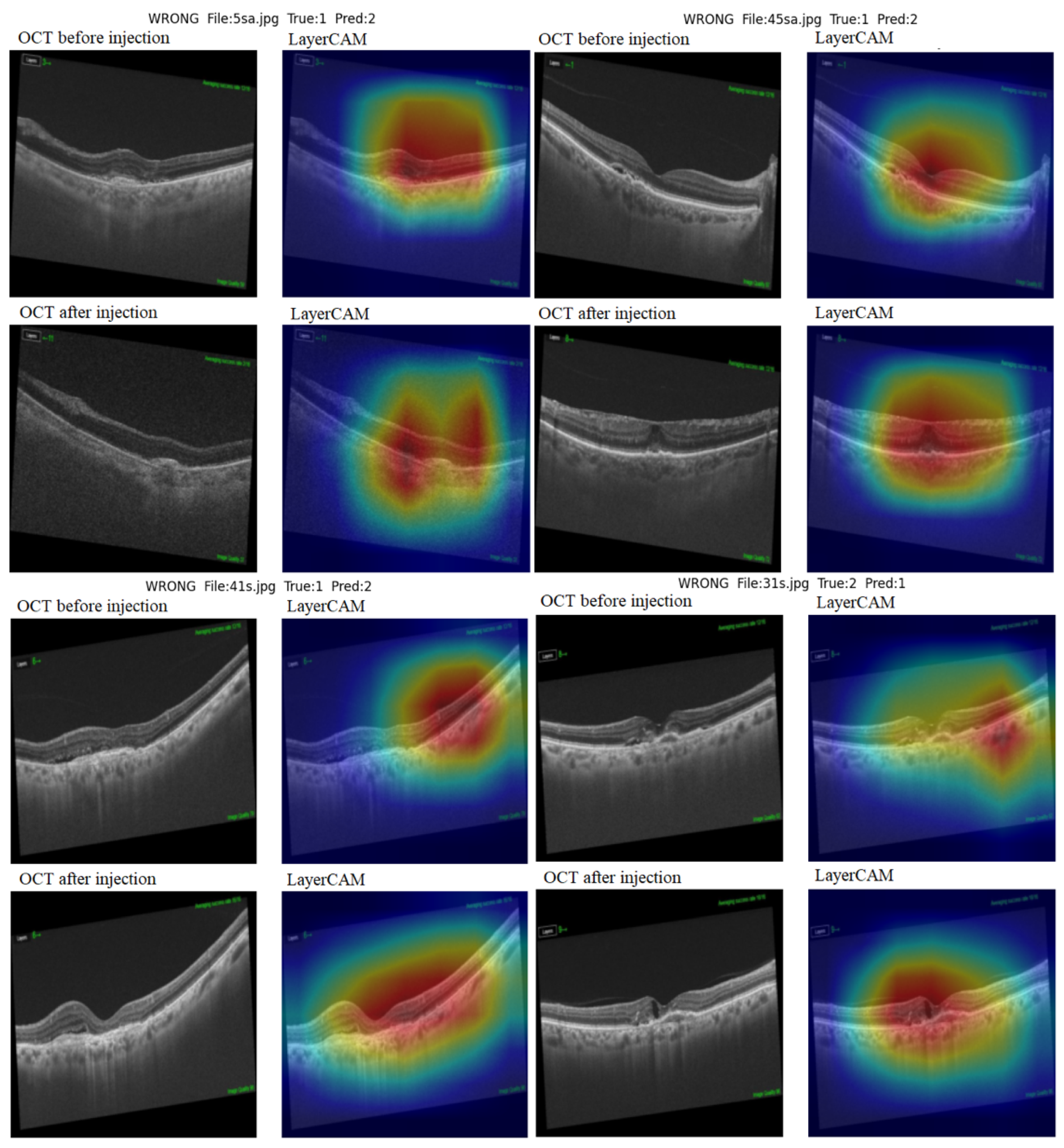 Diagnostics 15 02253 g007
