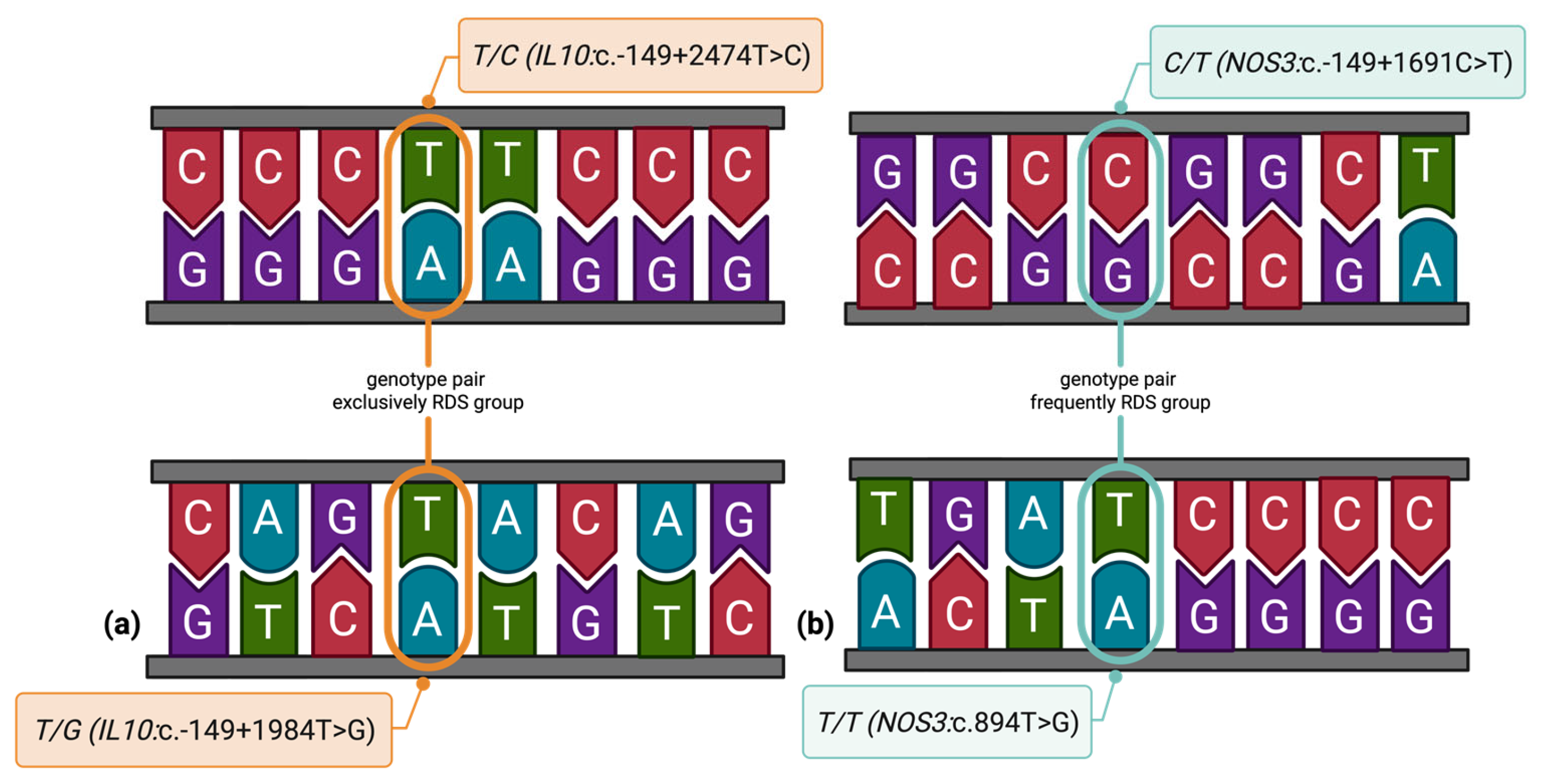 Diagnostics 15 02259 g002 Diagnostics 15 02259 g002