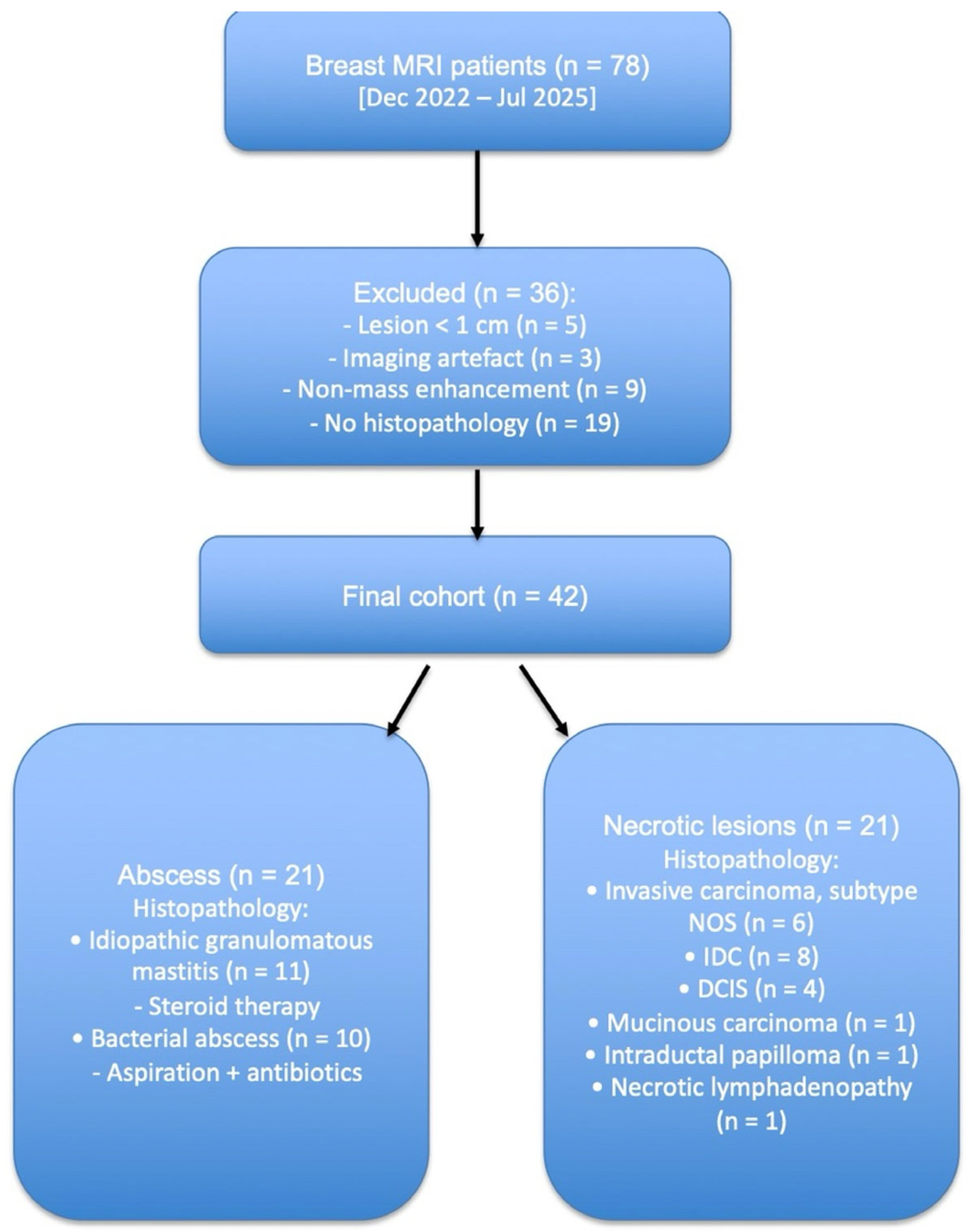 Diagnostics 15 02260 g001