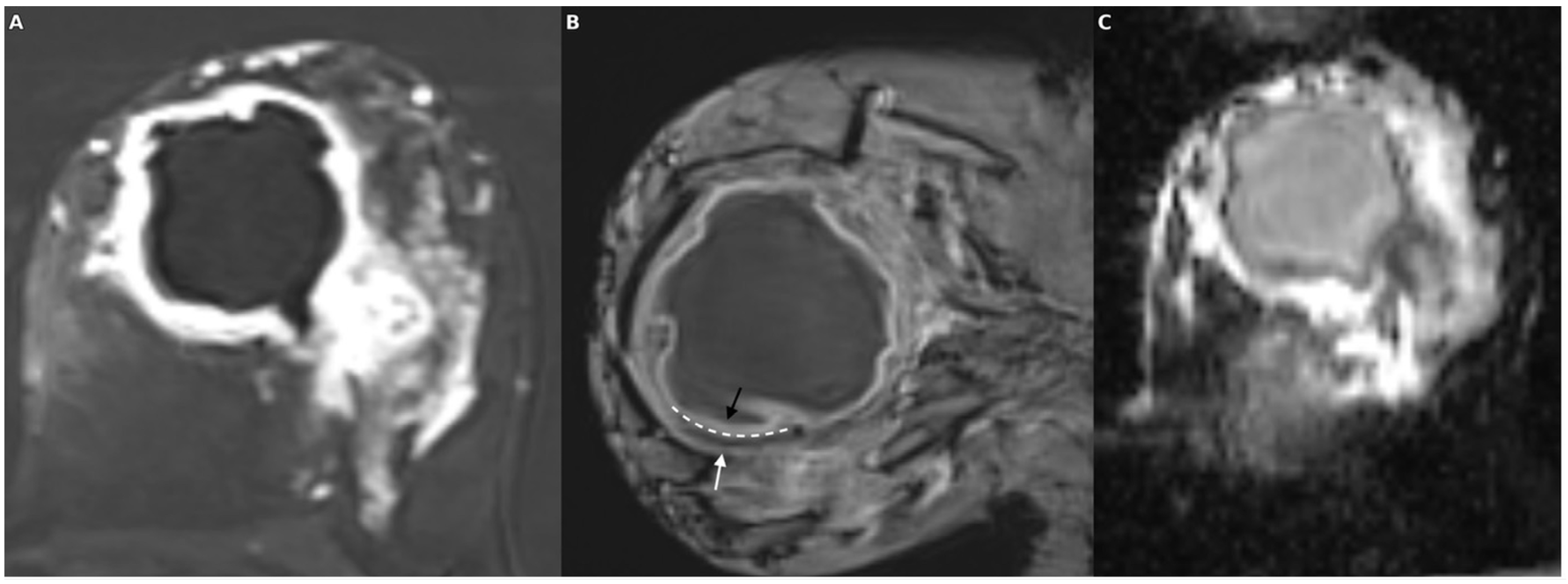 Diagnostics 15 02260 g005