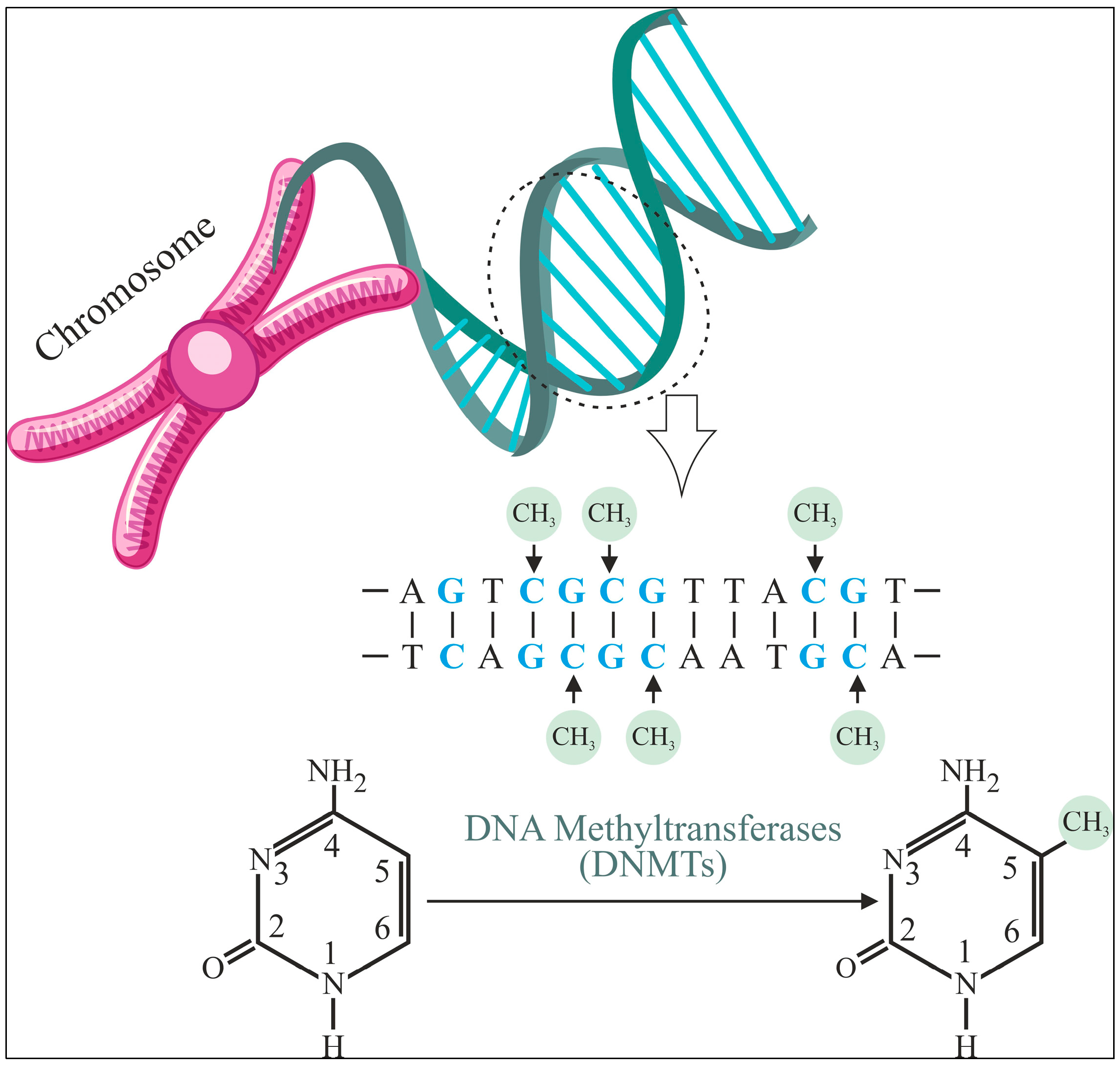Diagnostics 15 02263 g001 Diagnostics 15 02263 g001