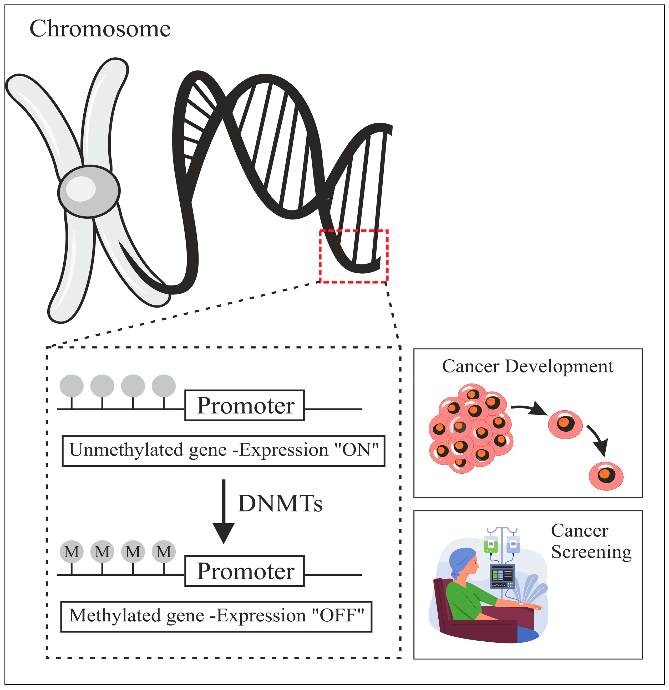 Diagnostics 15 02263 g005 Diagnostics 15 02263 g005
