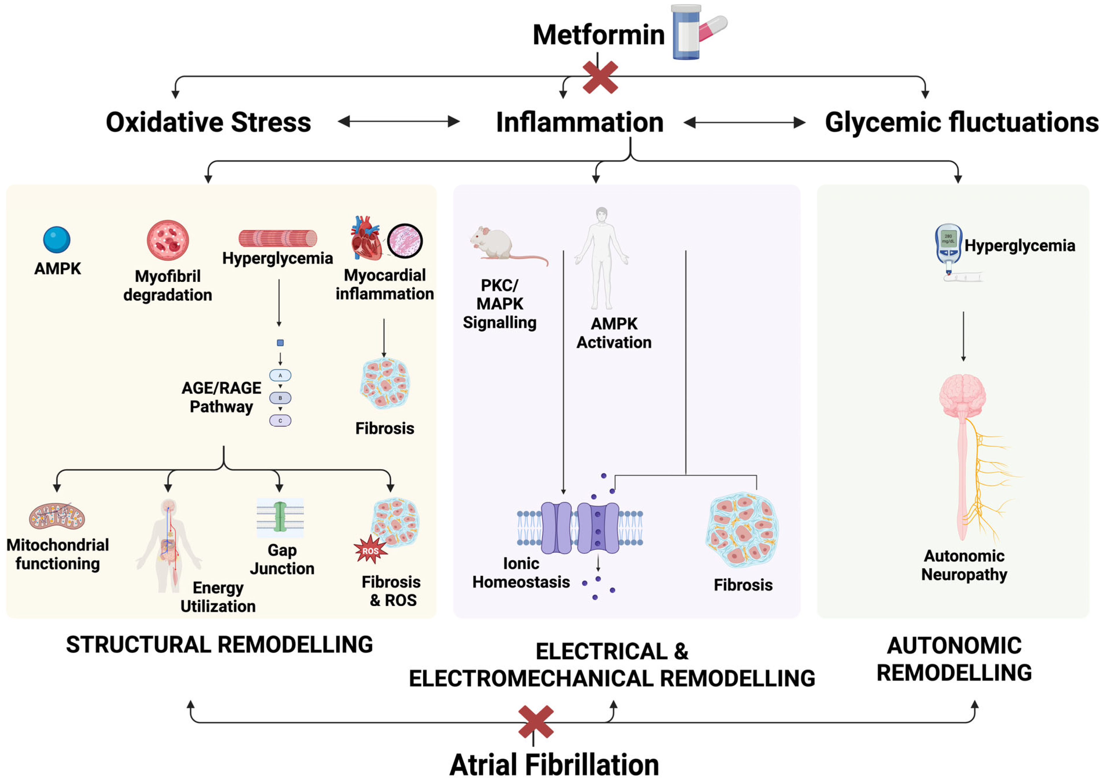 Diagnostics 15 02288 g007 Diagnostics 15 02288 g007