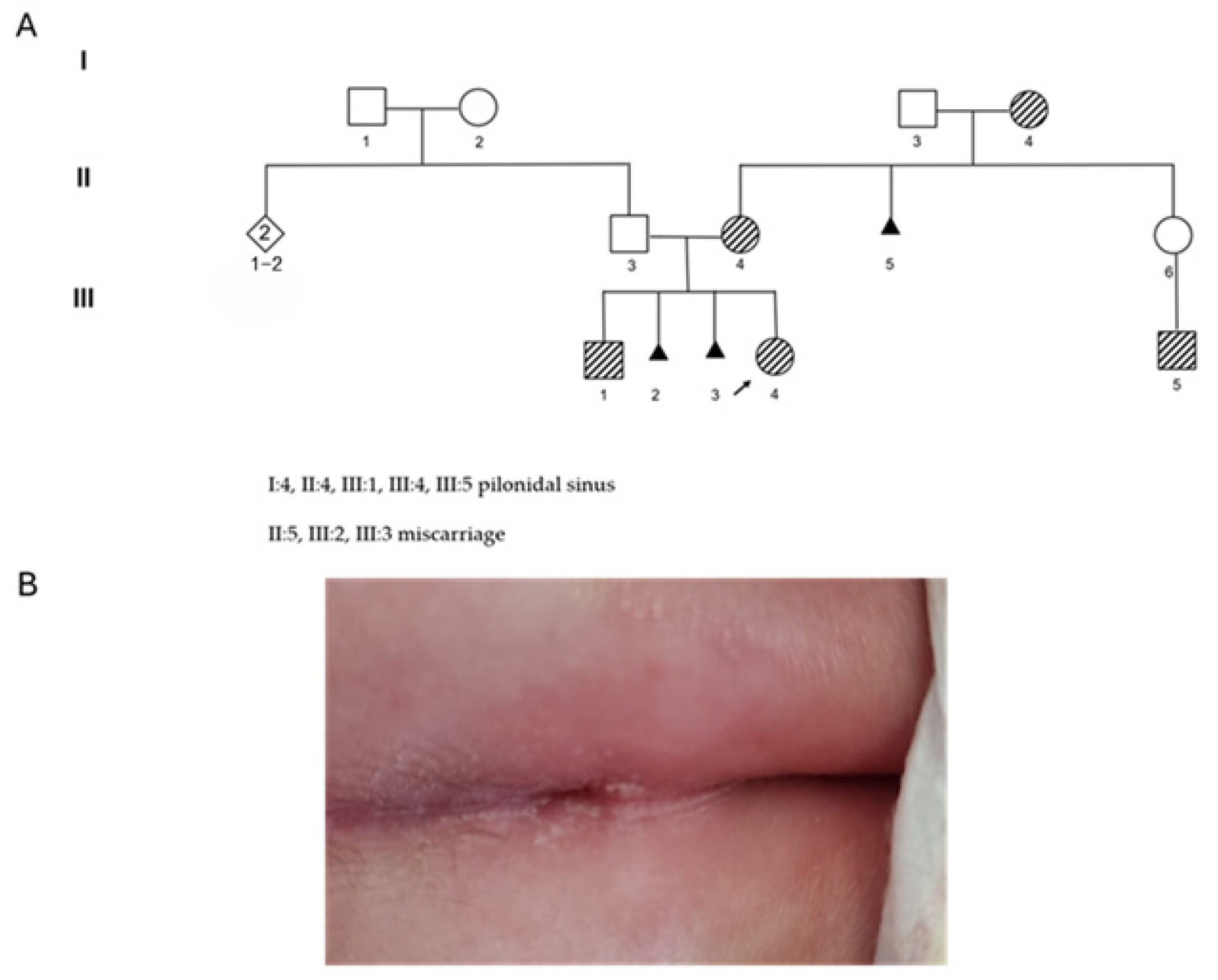 Diagnostics 15 02289 g001