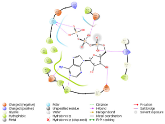 Diagnostics 15 02289 i002