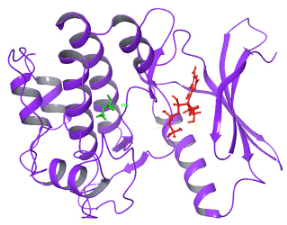 Diagnostics 15 02289 i005