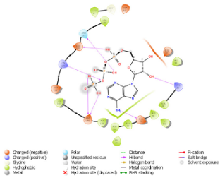 Diagnostics 15 02289 i006