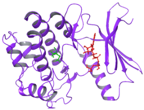 Diagnostics 15 02289 i007