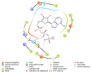 Diagnostics 15 02289 i008
