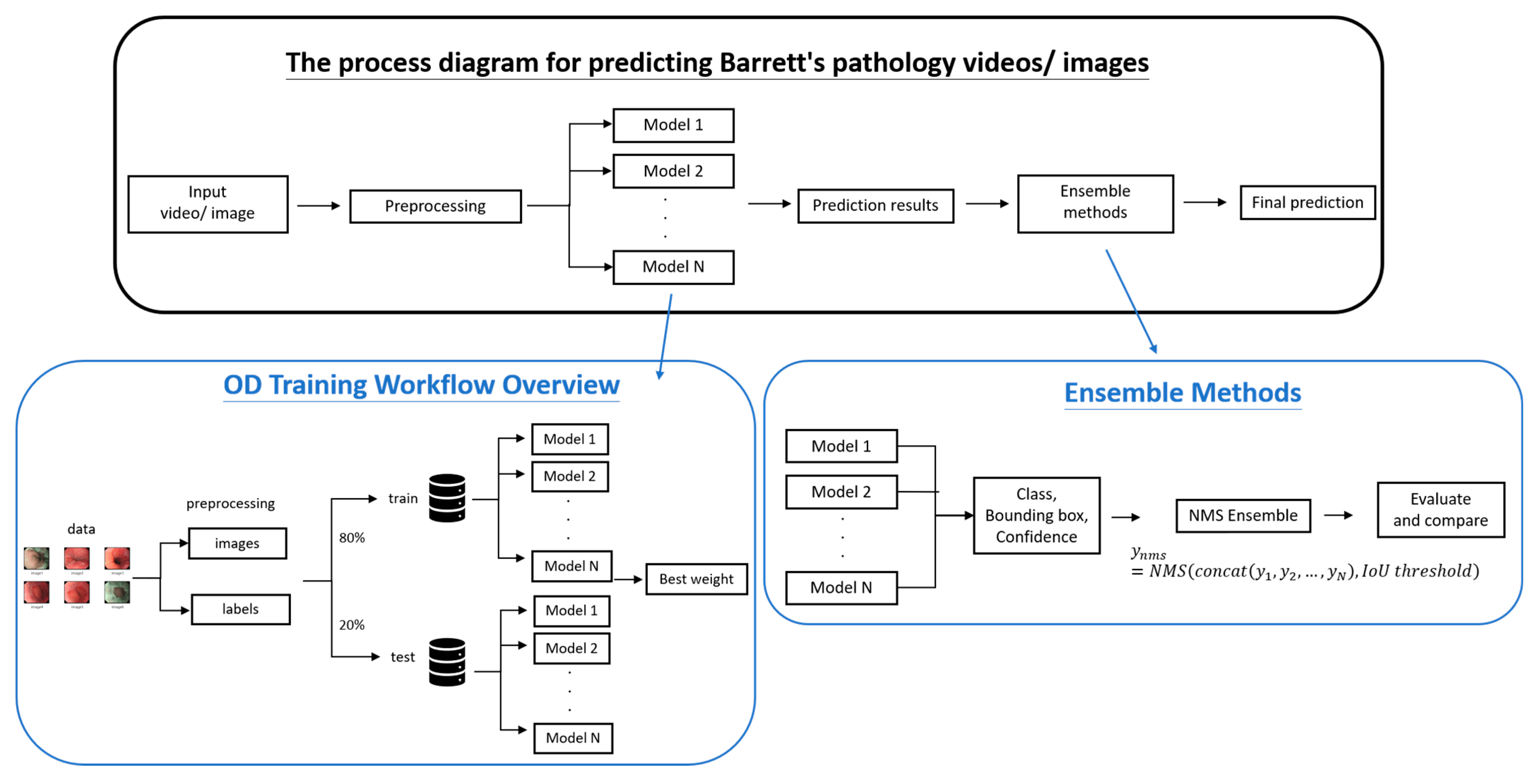 Diagnostics 15 02290 g001